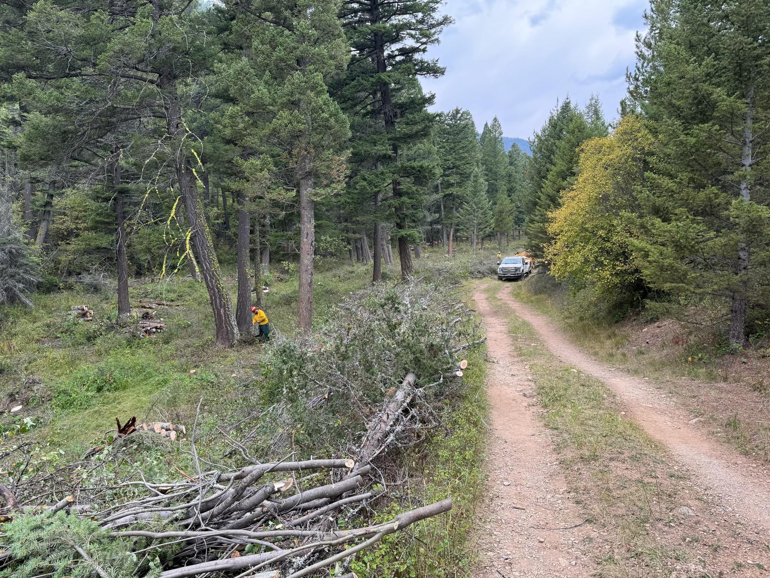 Crews working on removing excess fuels near homes