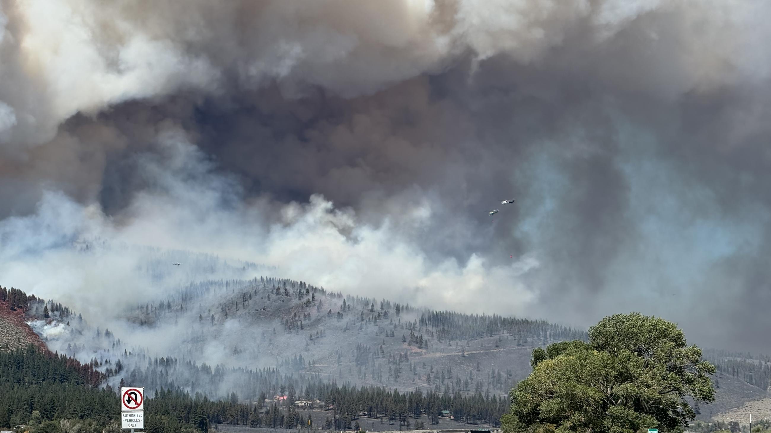 Smoke from the Davis Fire