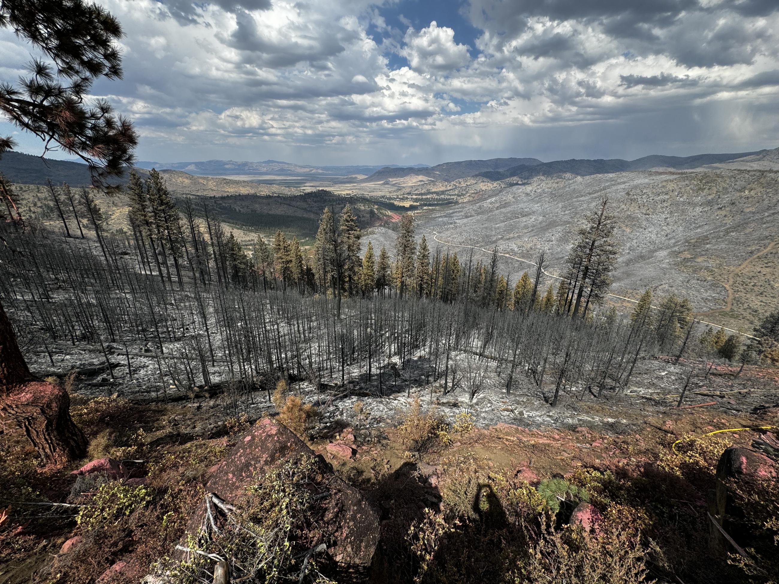 Photo looking down into a valley with burned trees and ground.