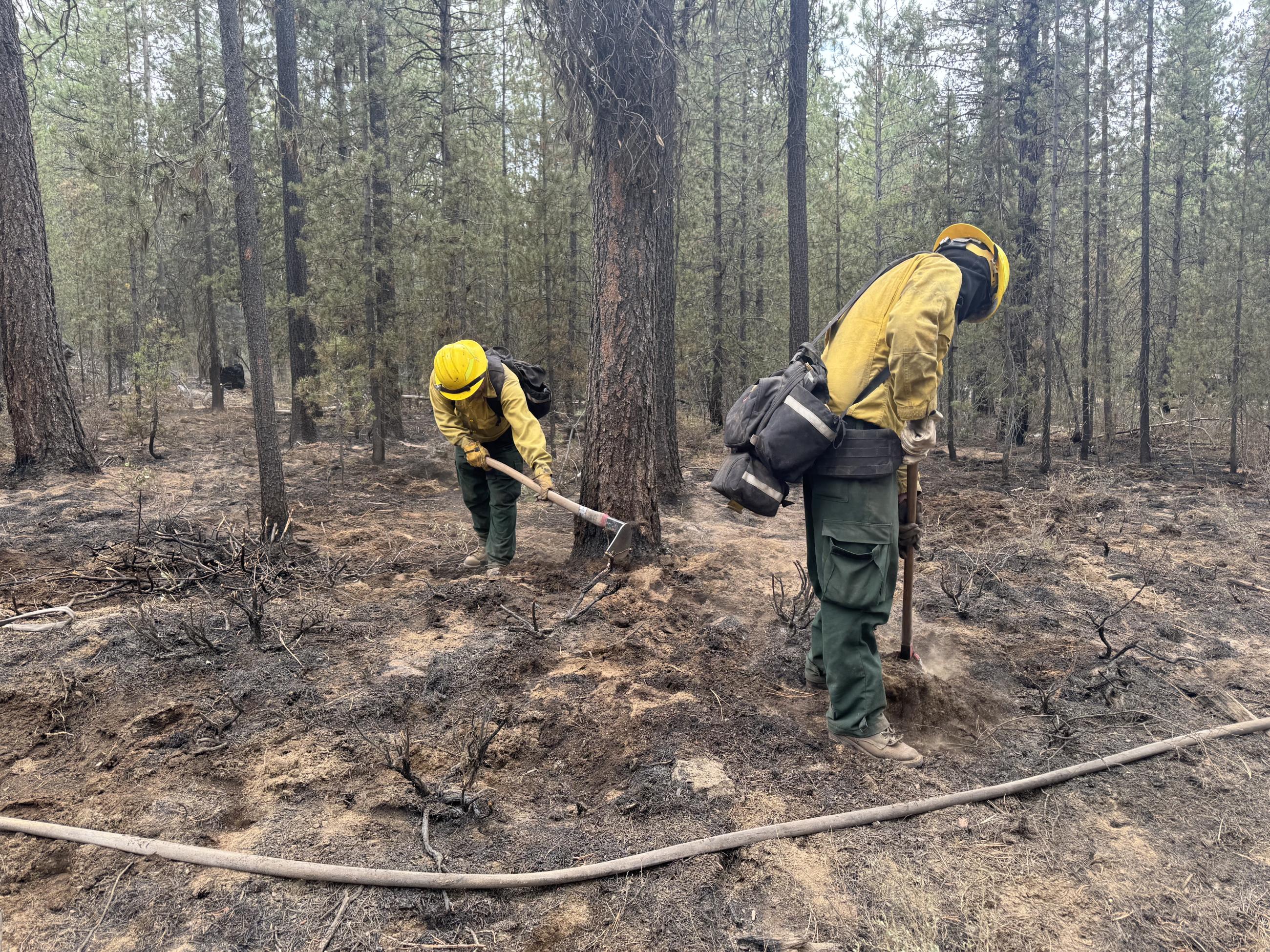 Firefighters mopping up on the northeast edge of the Little Lava Fire, September 16, 2024. Photo by Emily Curtis