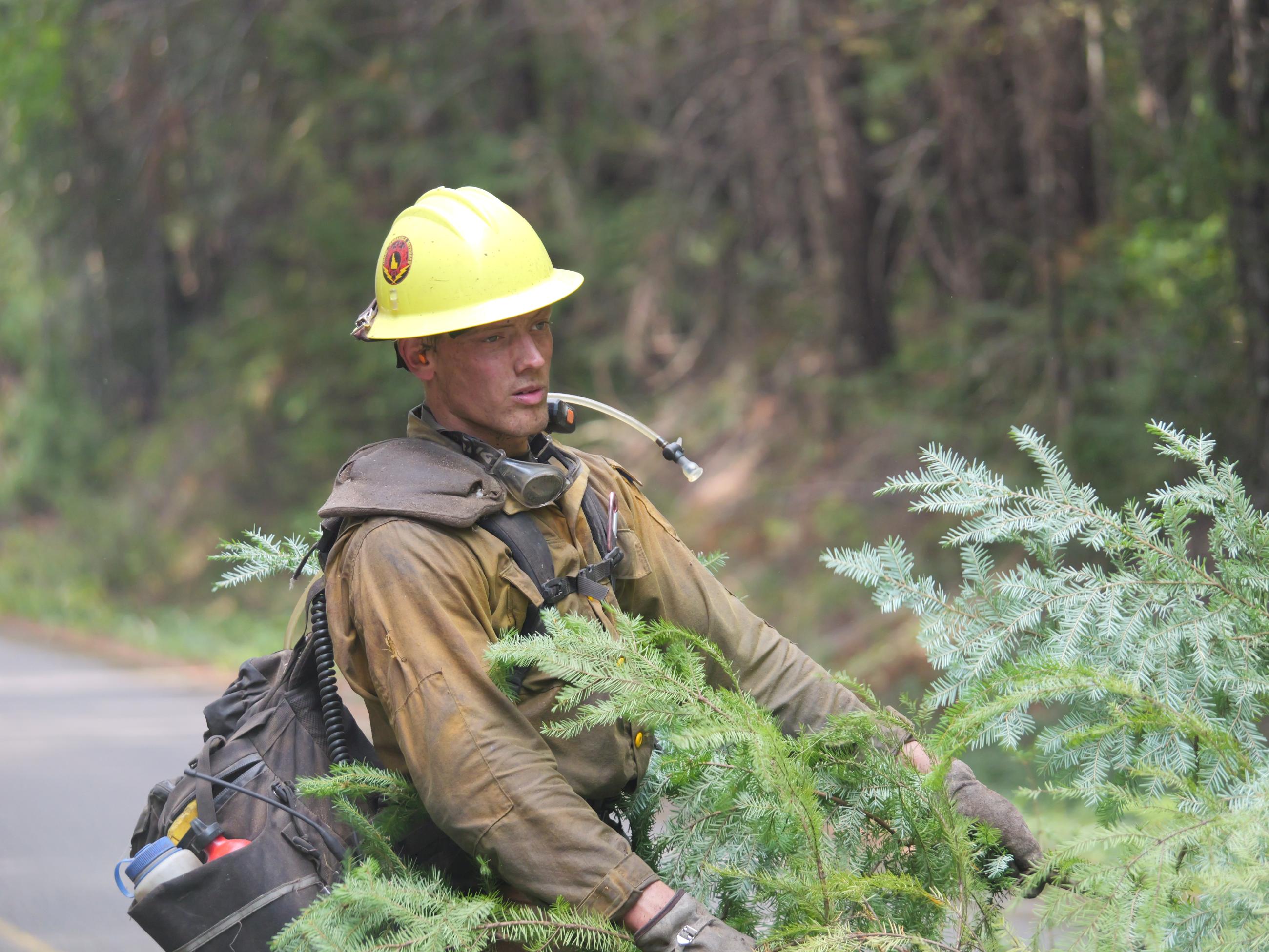 Idaho Panhandle Hot Shot removing fuels // Willamette South