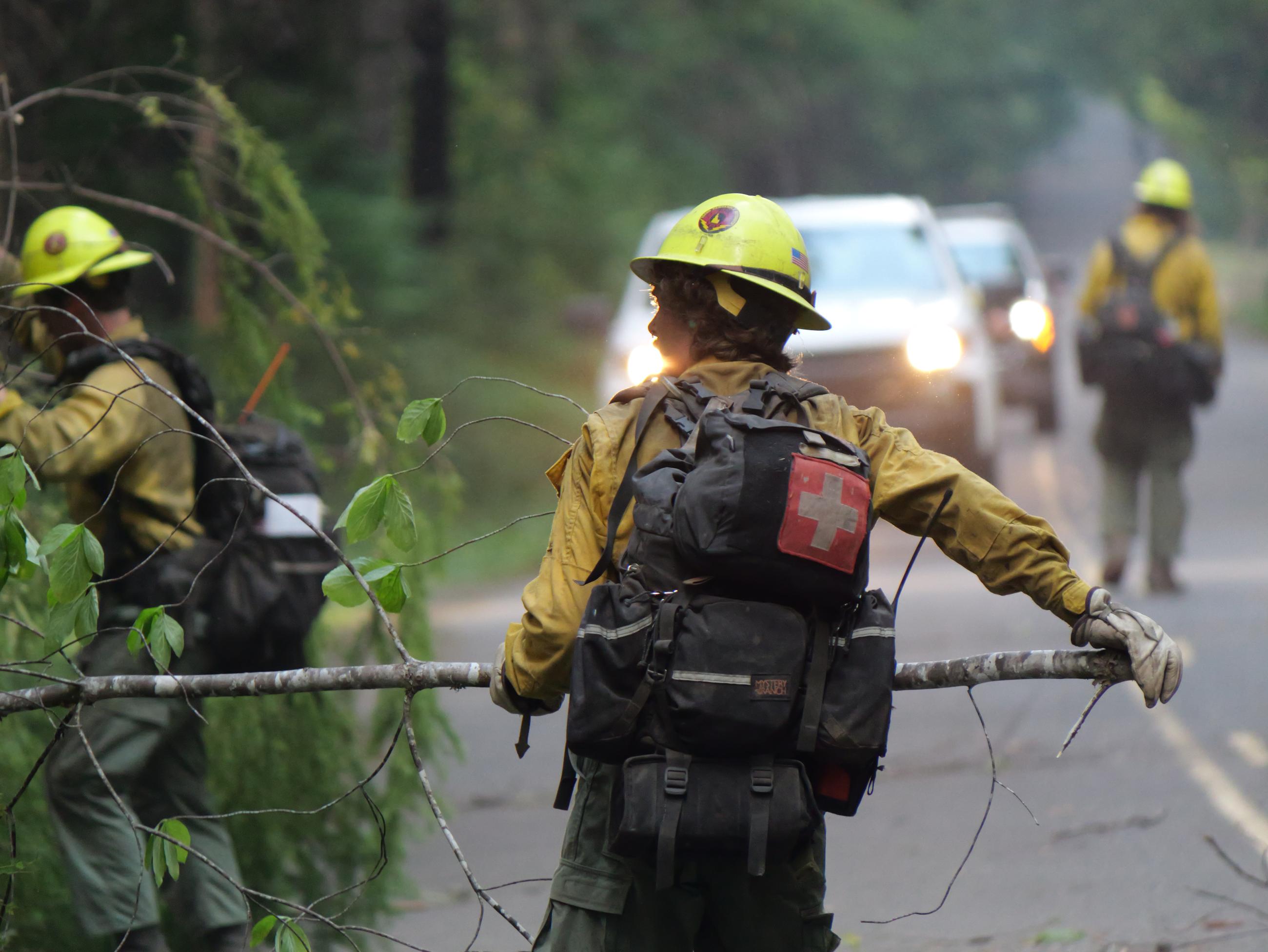 Idaho Panhandle Hot Shots removing fuels // Willamette South