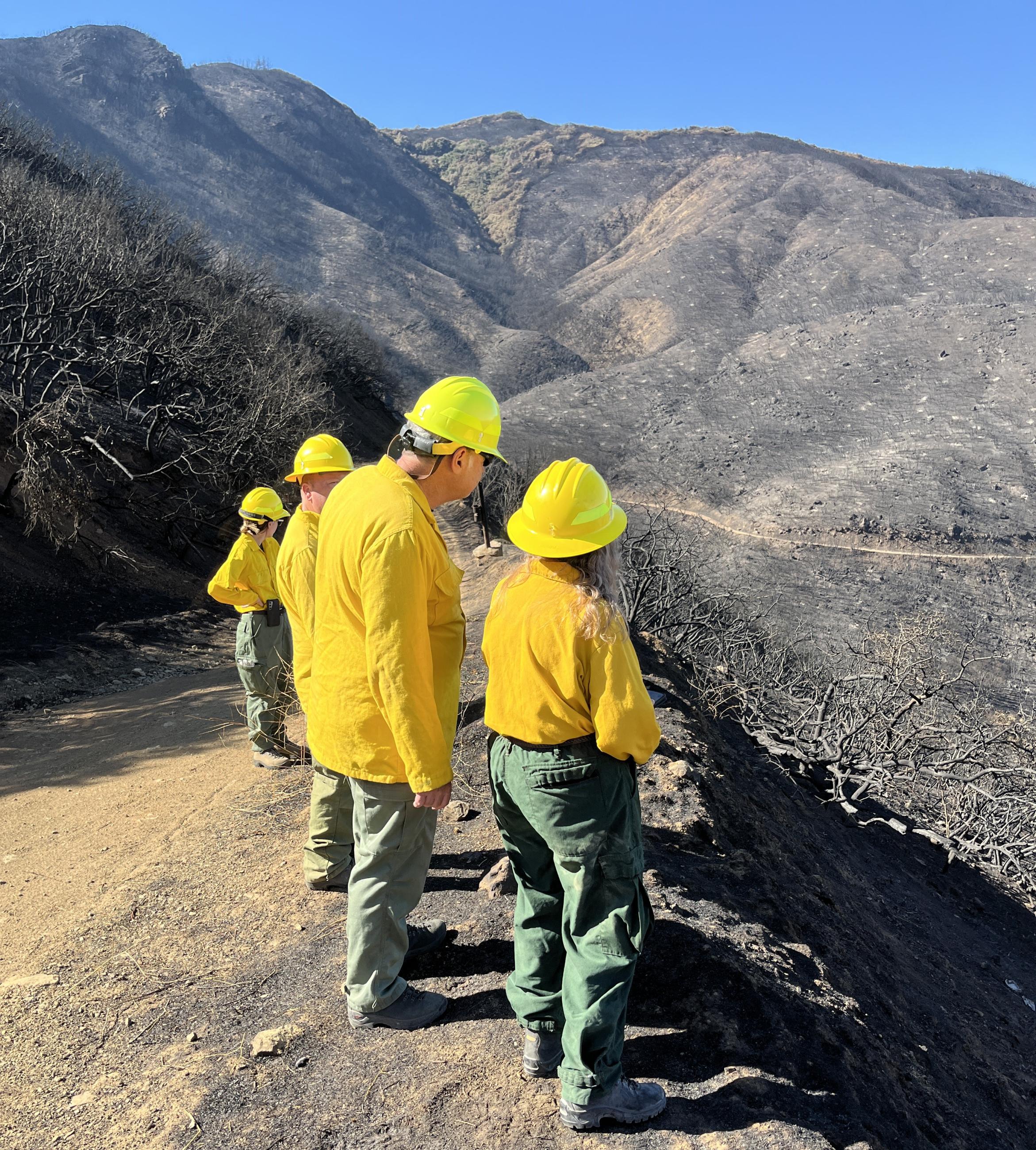 Image showing BAER Specialists assessing Warm Springs Creek in the Line Fire burned area