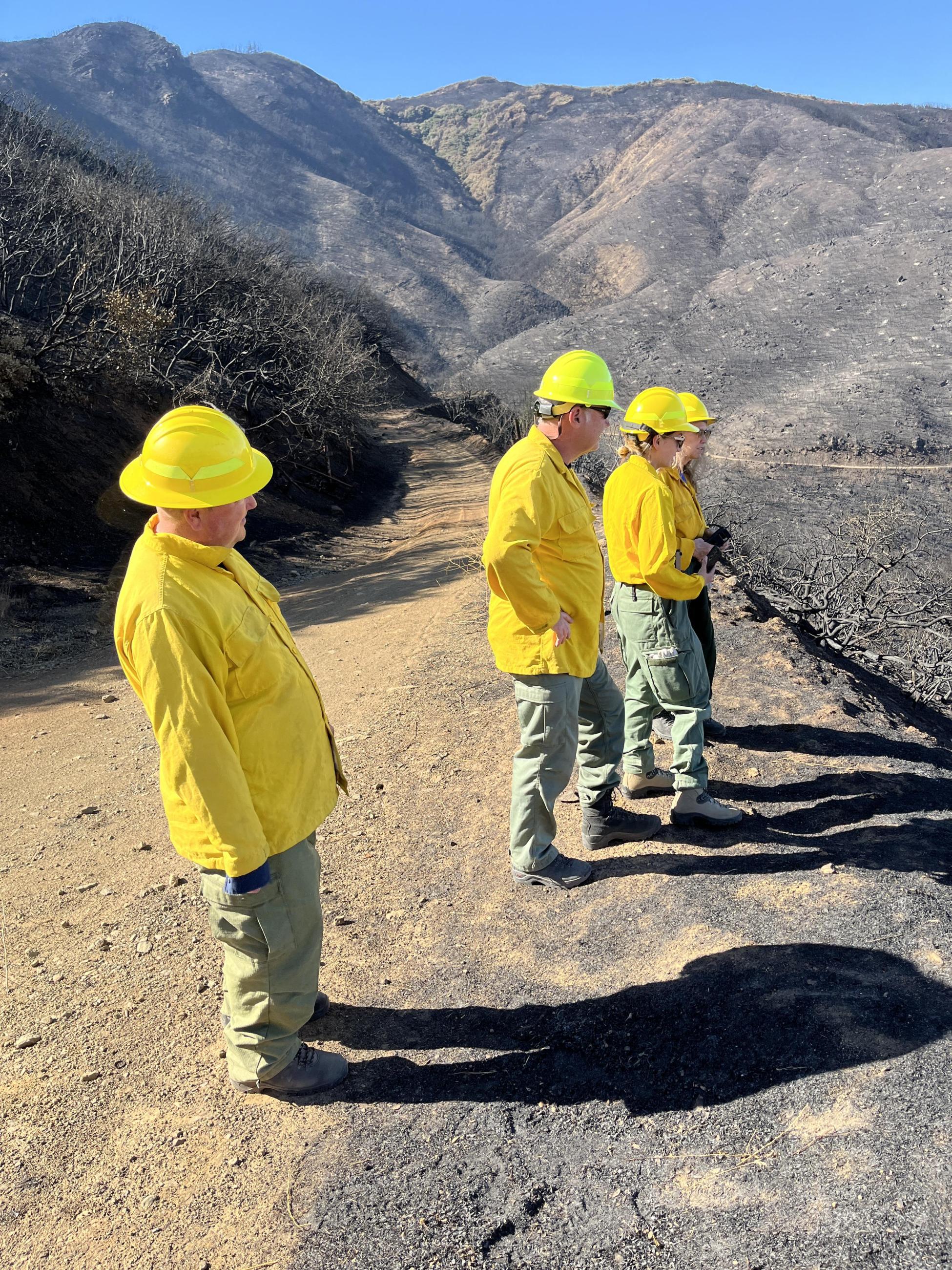 Image showing BAER Specialists assessing Warm Springs Creek in the Line Fire burned area