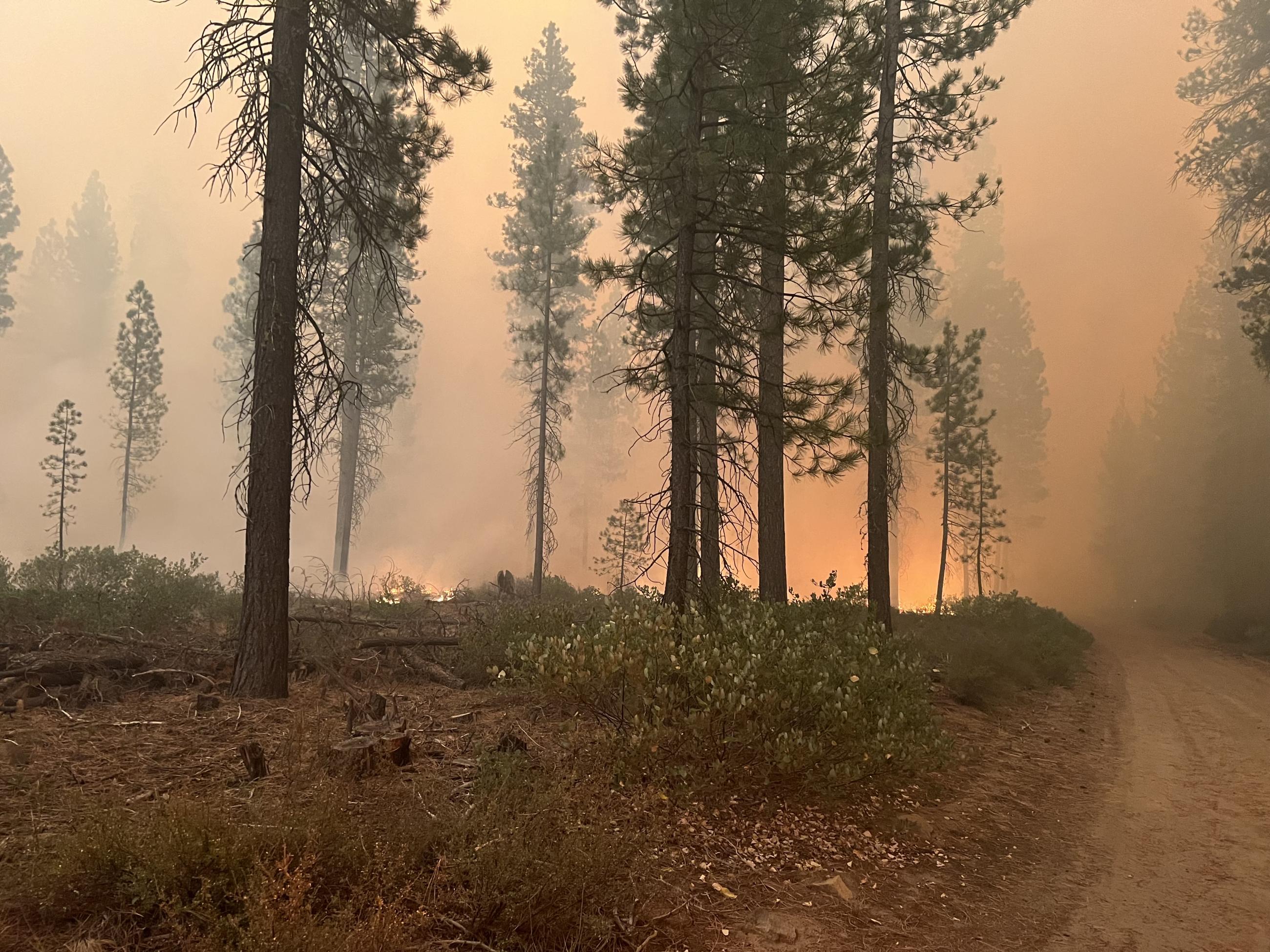 Fire behavior on the Little Lava Fire, September 10