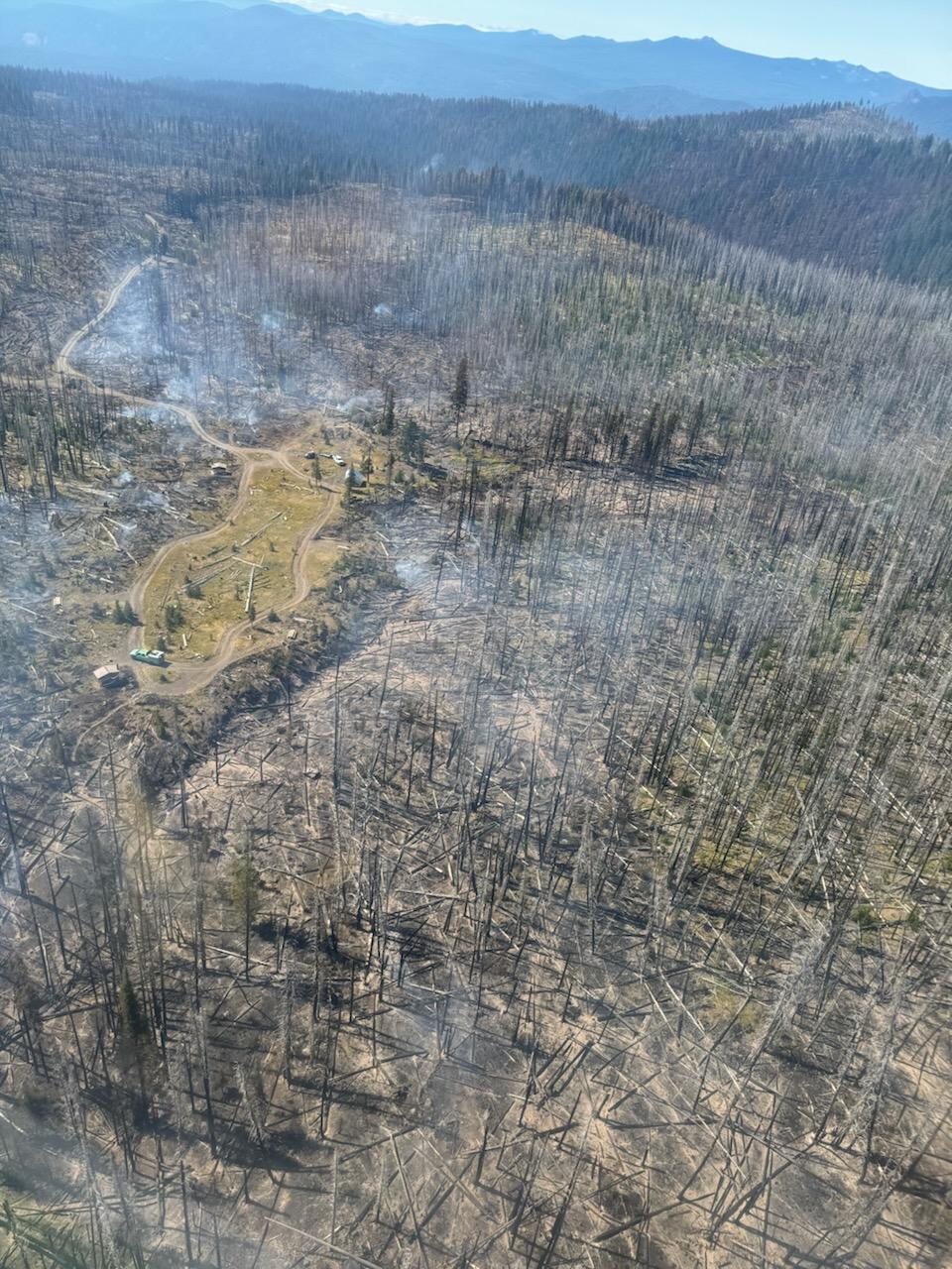 Morrison Shelter sits in an island of green vegetation, surrounded by thousands of burned trees, as seen from the air.