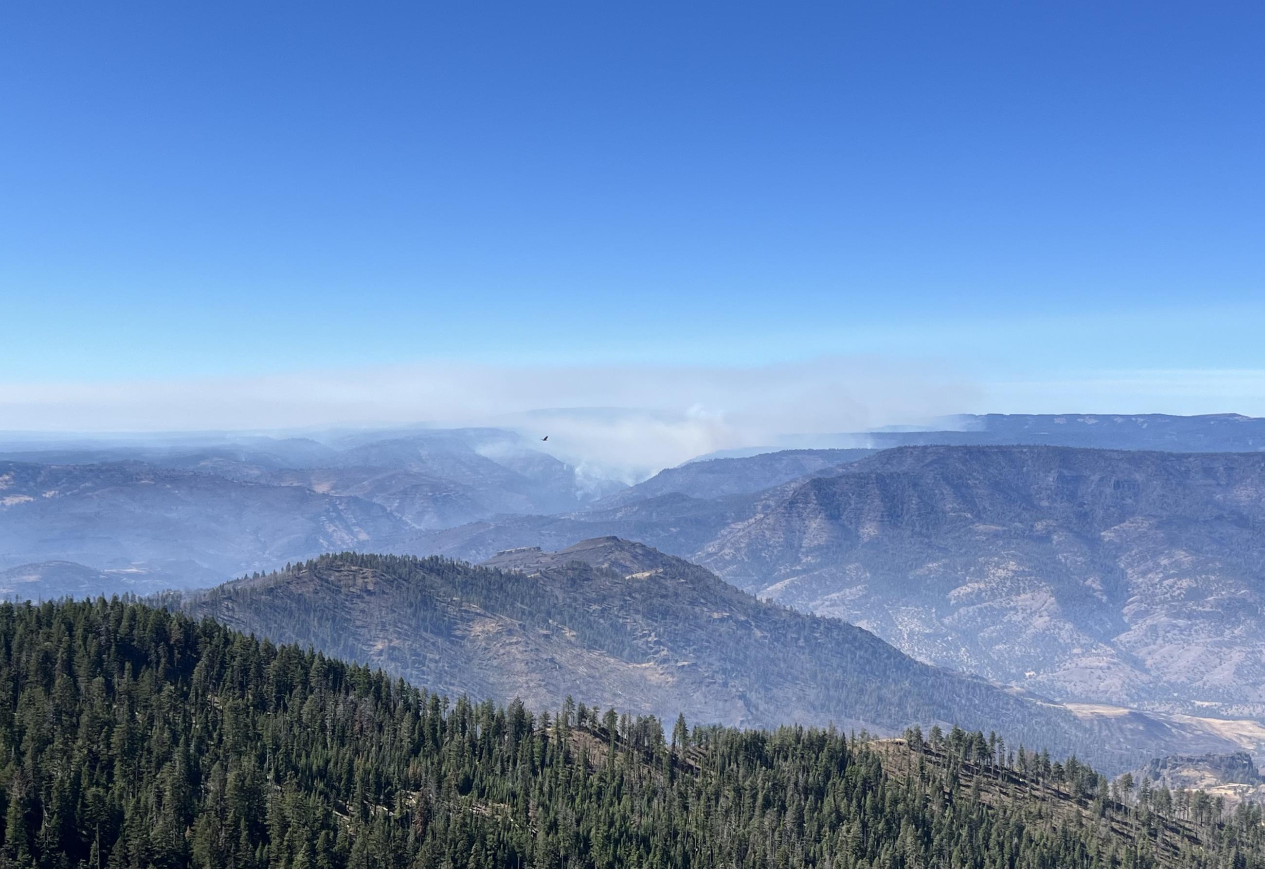 View of Rail Ridge Fire from Aldrich Lookout 