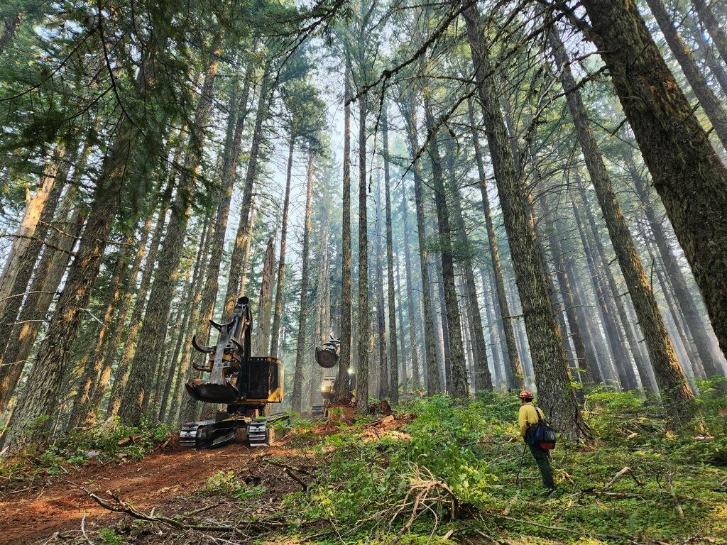 This photo shows heavy equipment on a trail in a forested area.
