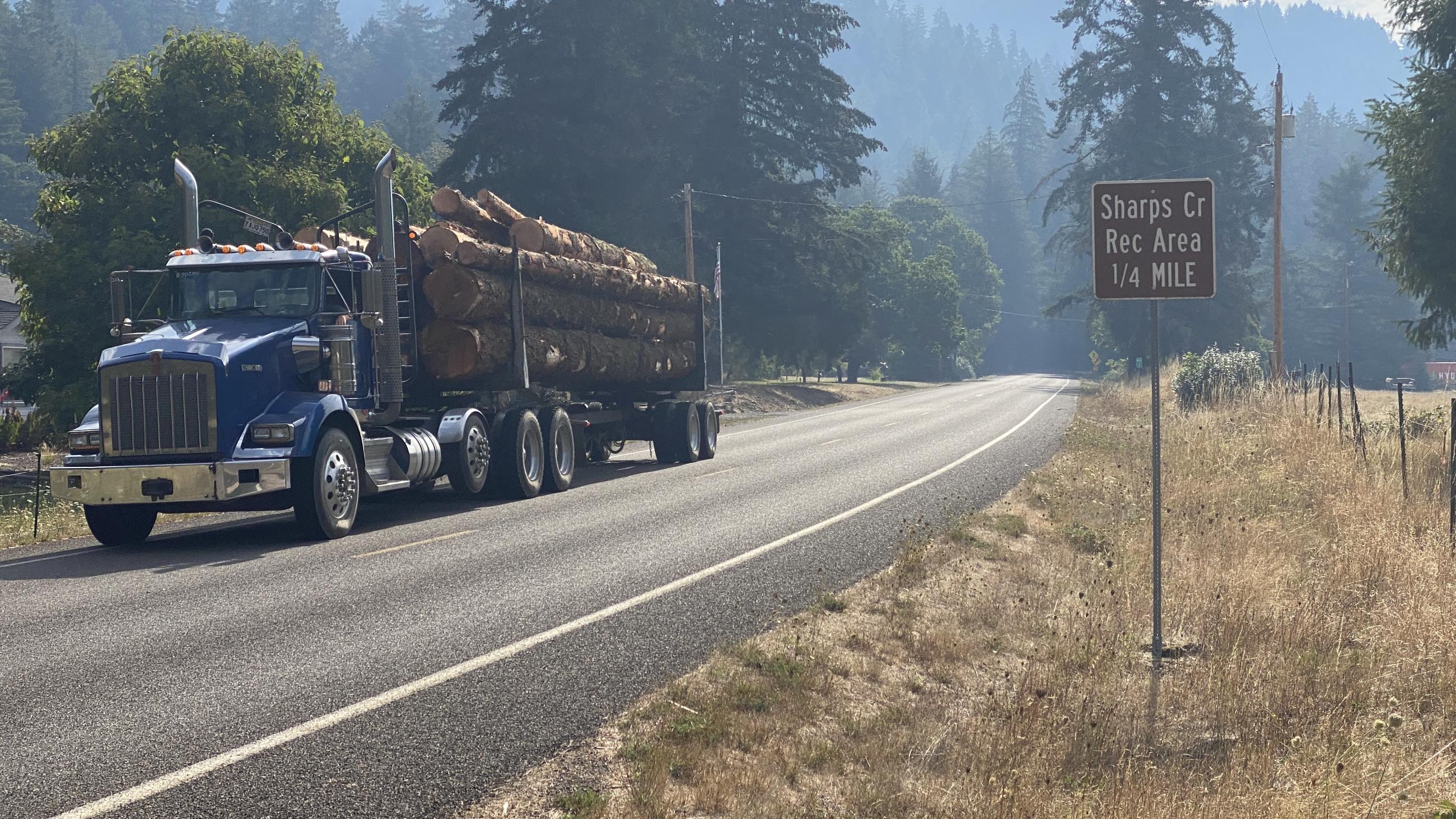 This photograph shows a loaded log truck on a road.