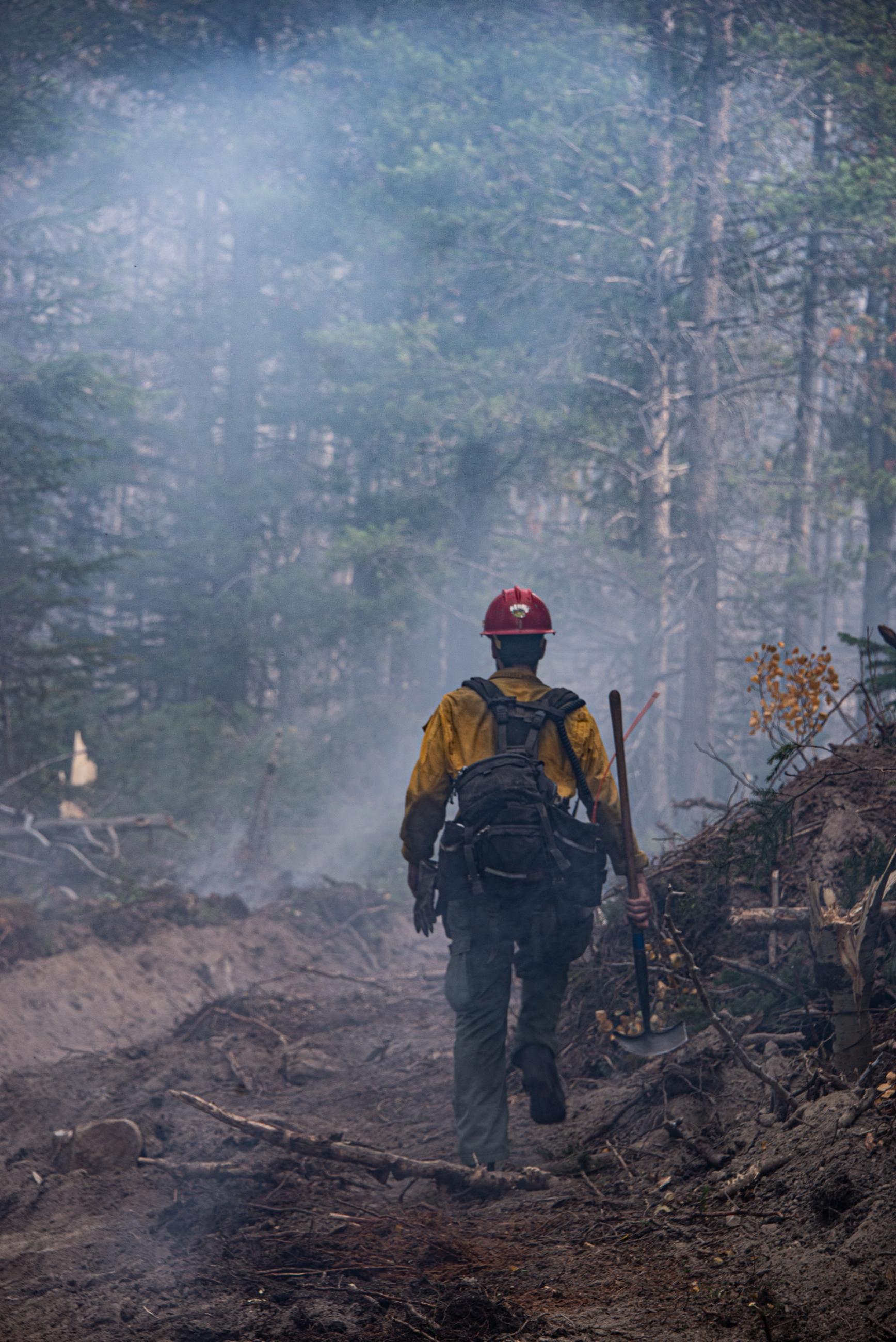 Firefighter back turned to photographer in a smoke-filled forest