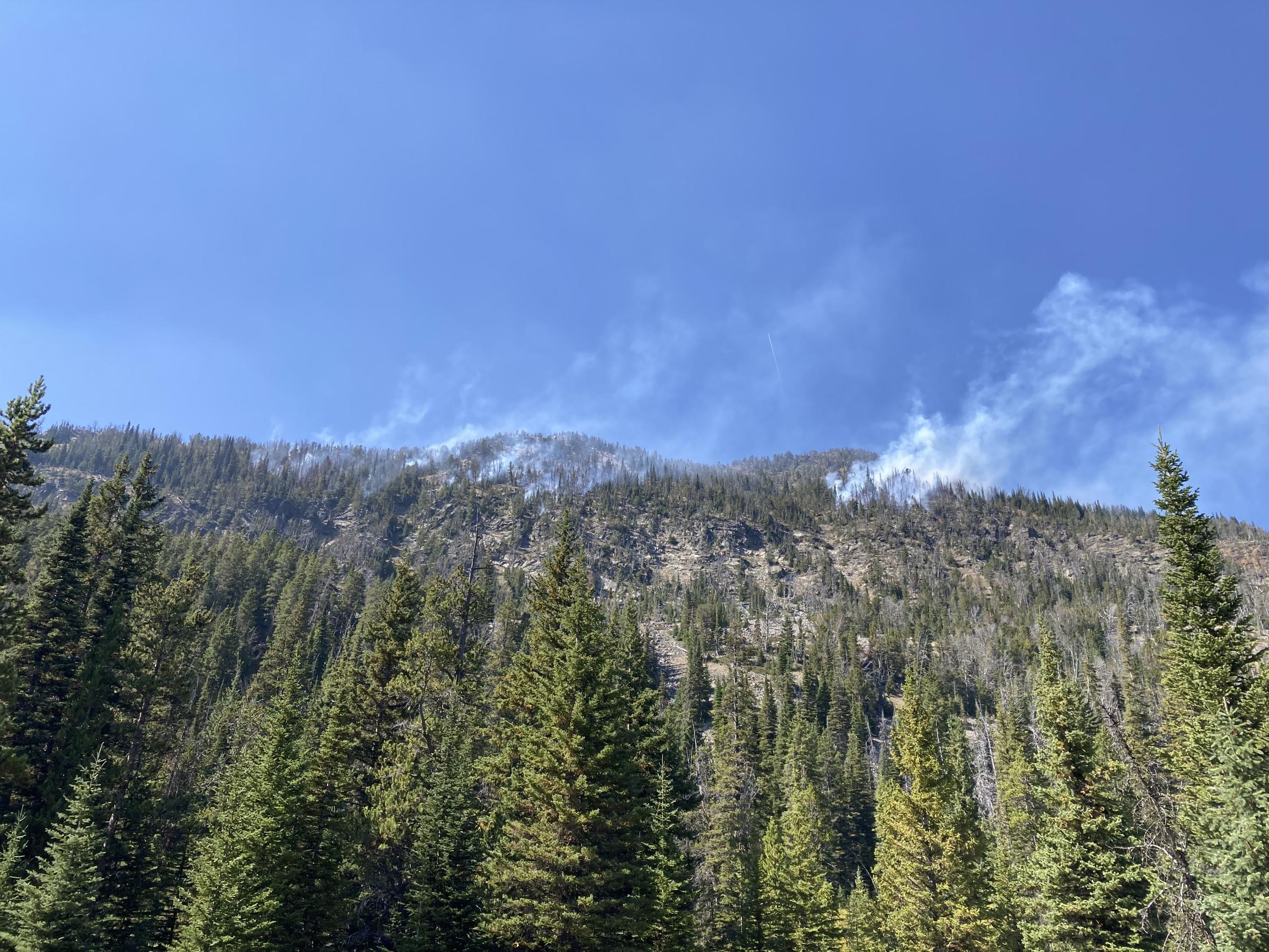 Point of view from the bottom of a mountain. Towards the top of the mountain, light white smoke is puffing up into blue skies. Large evergreen trees and large rocks cover the side of the steep mountainside.