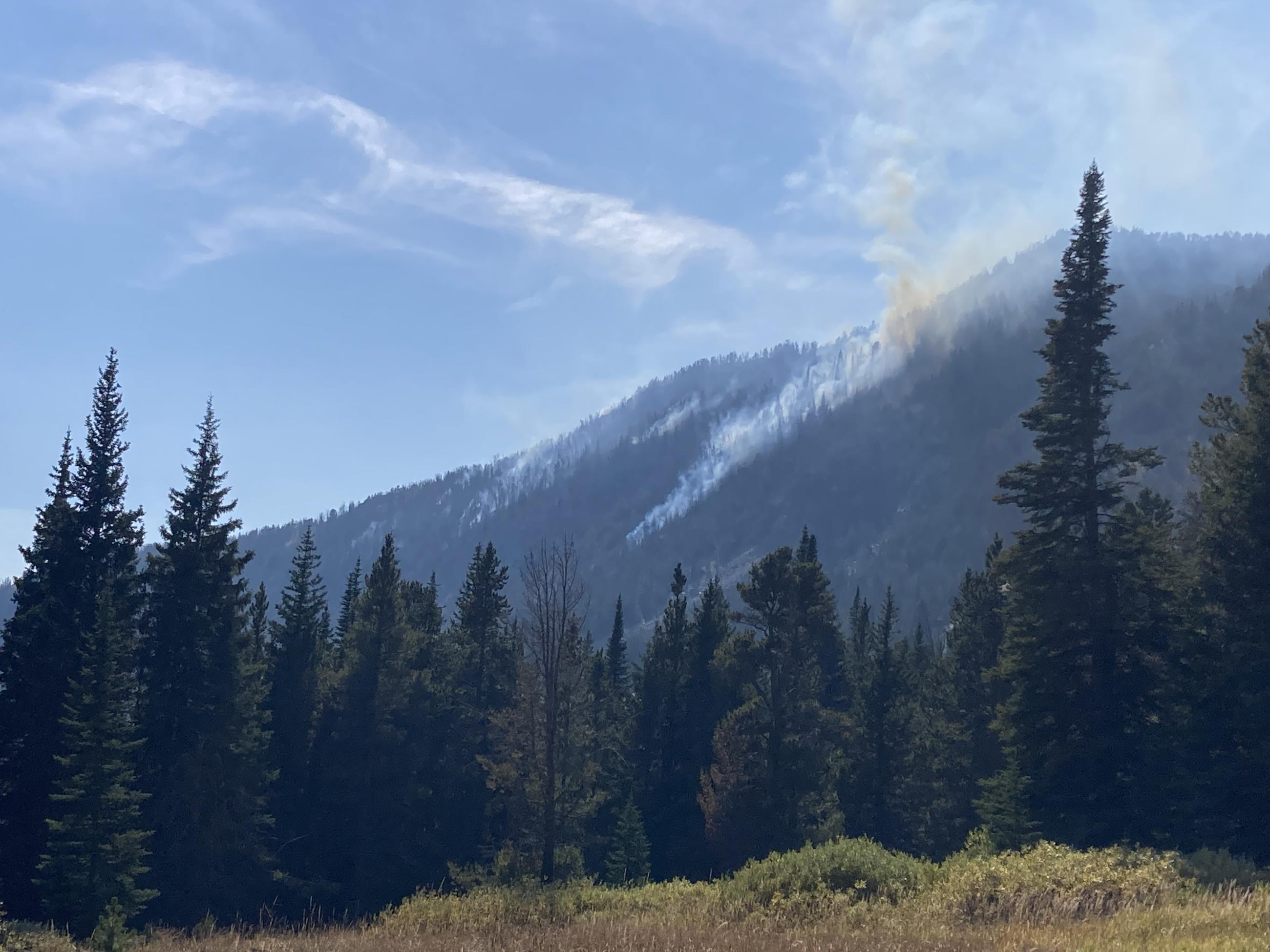 Landscape photo, evergreen trees in the foreground, mountain in the background. Fire is burning near the top and whispy white smoke is rolling towards the mountain top. Blue skies in the background. 