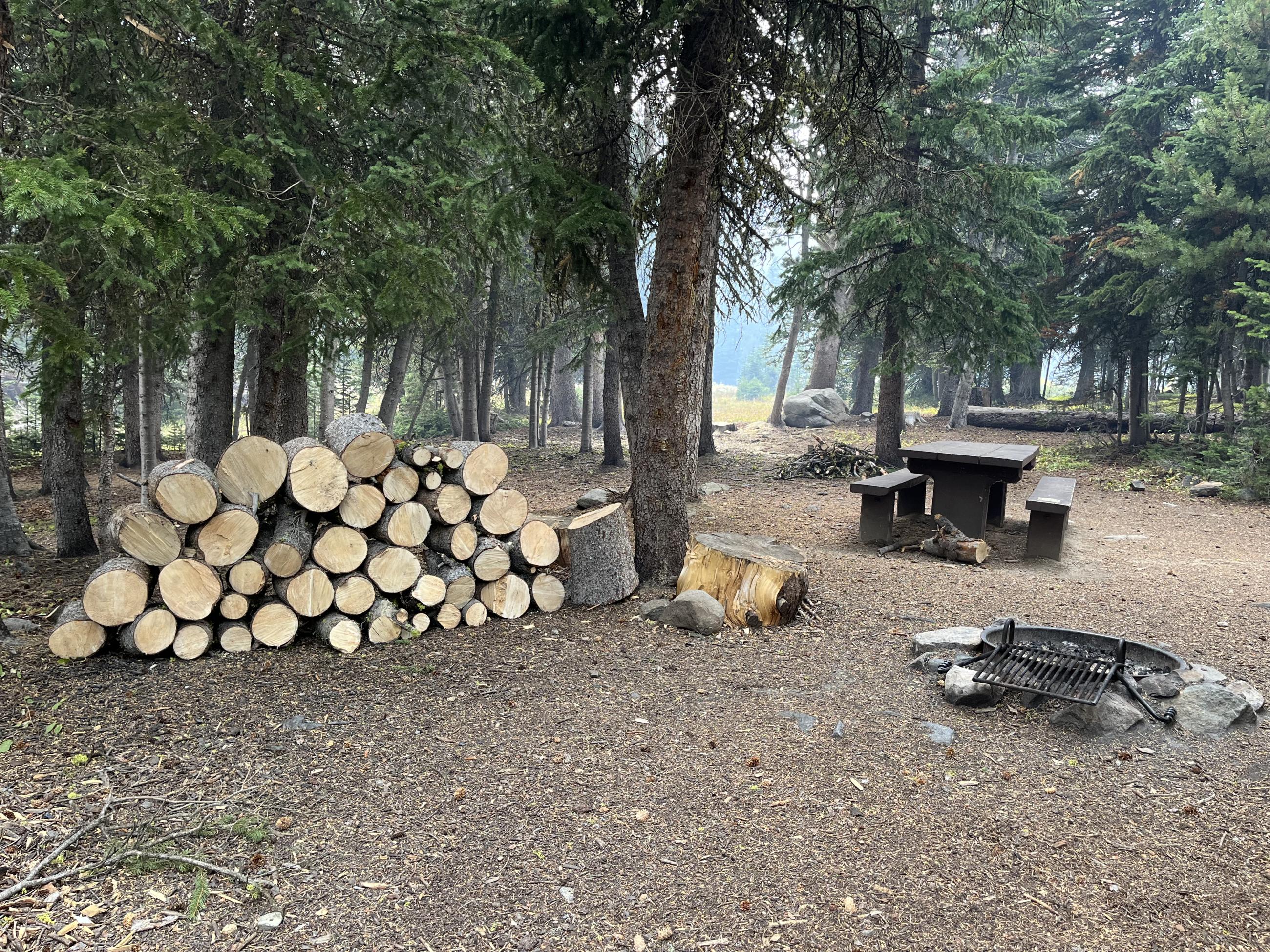 Branham Lakes campground near the Pedro Mine fire with bucked and stacked firewood.