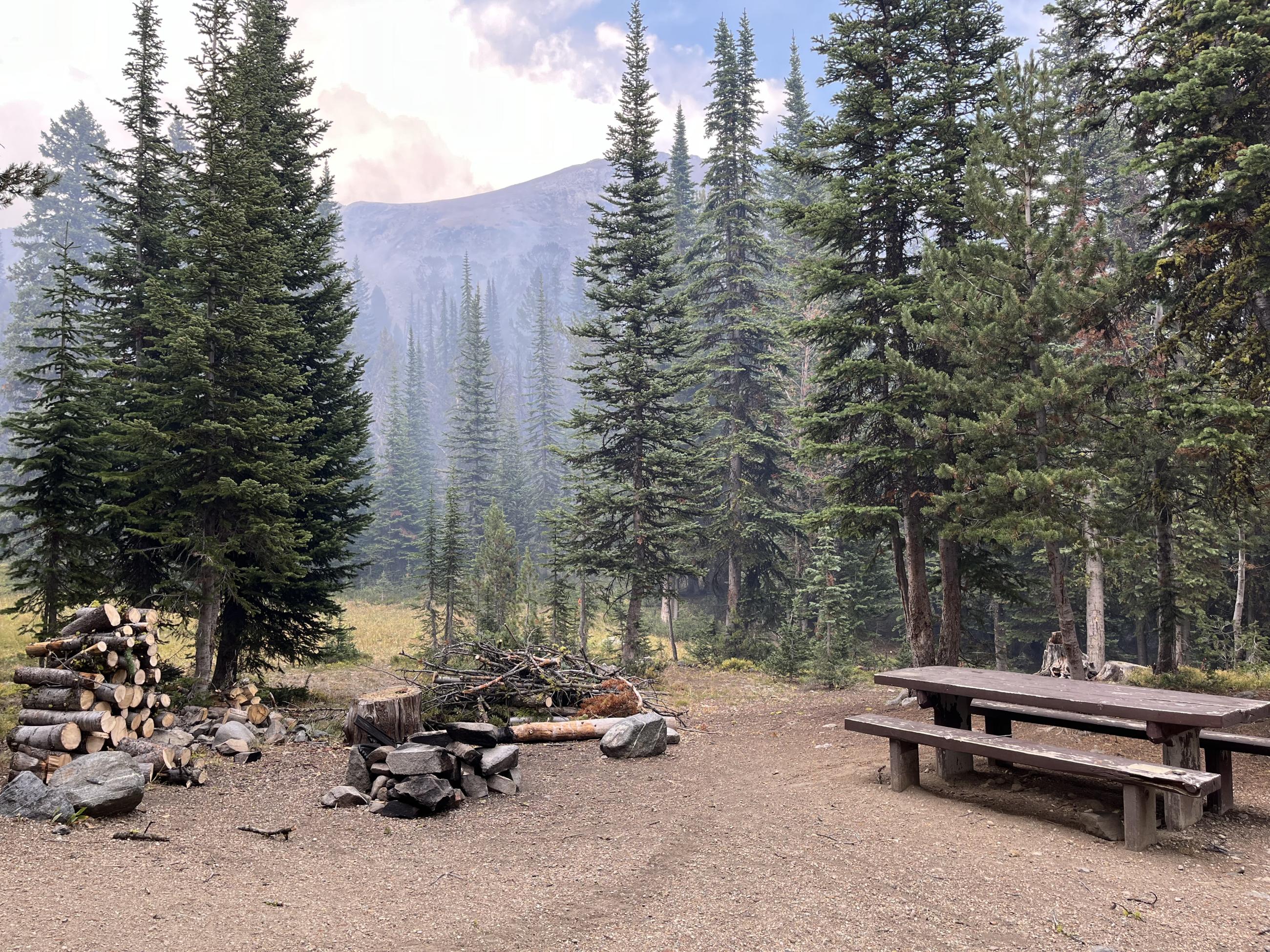 Post fire view of a campsite with bucked and stacked wood in a hazy scene with large trees. 