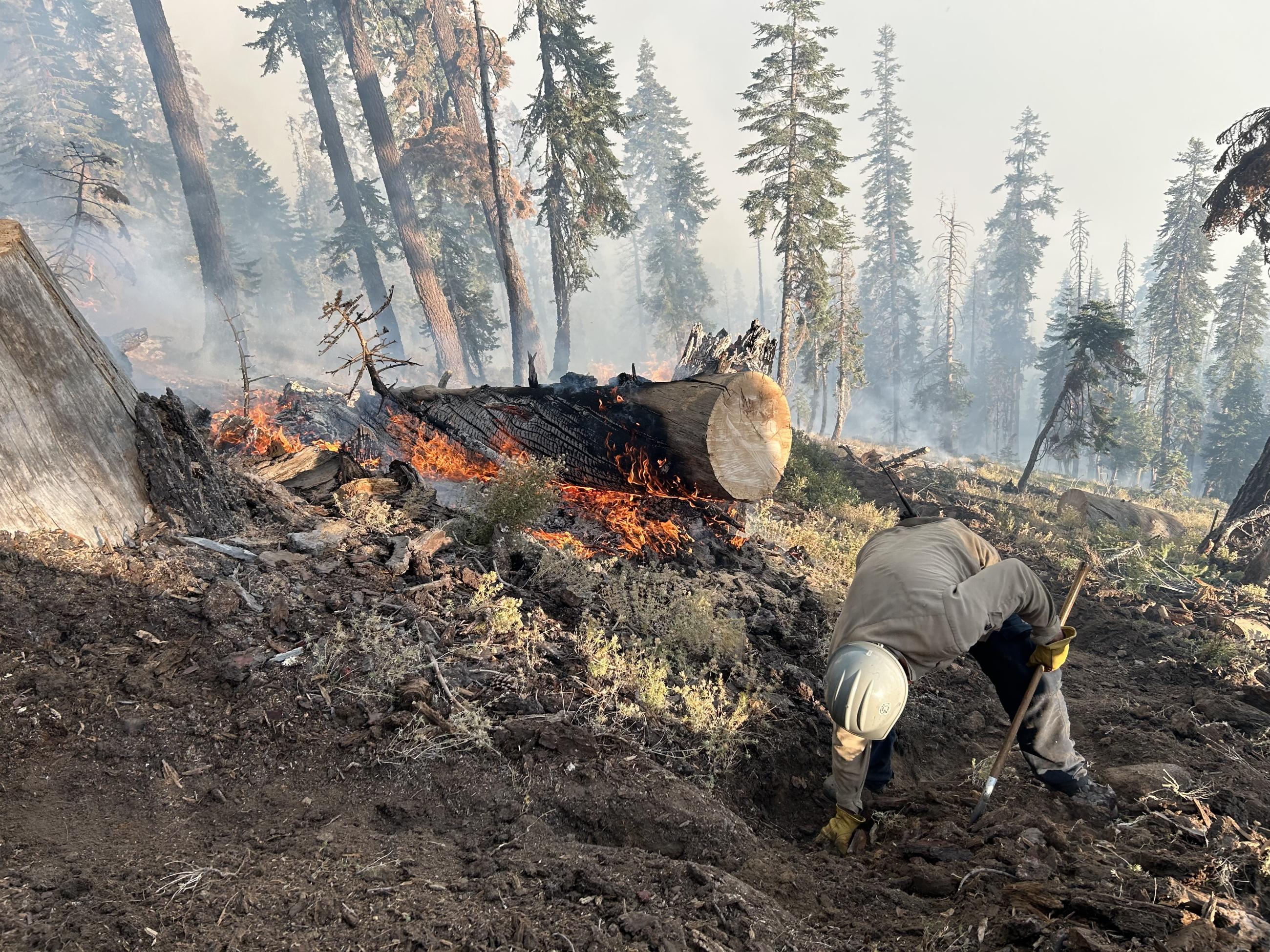 A firefighter with a helmet, gloves, and a tool, digs into the ground in a forest. Fire burns vegetation behind him. 