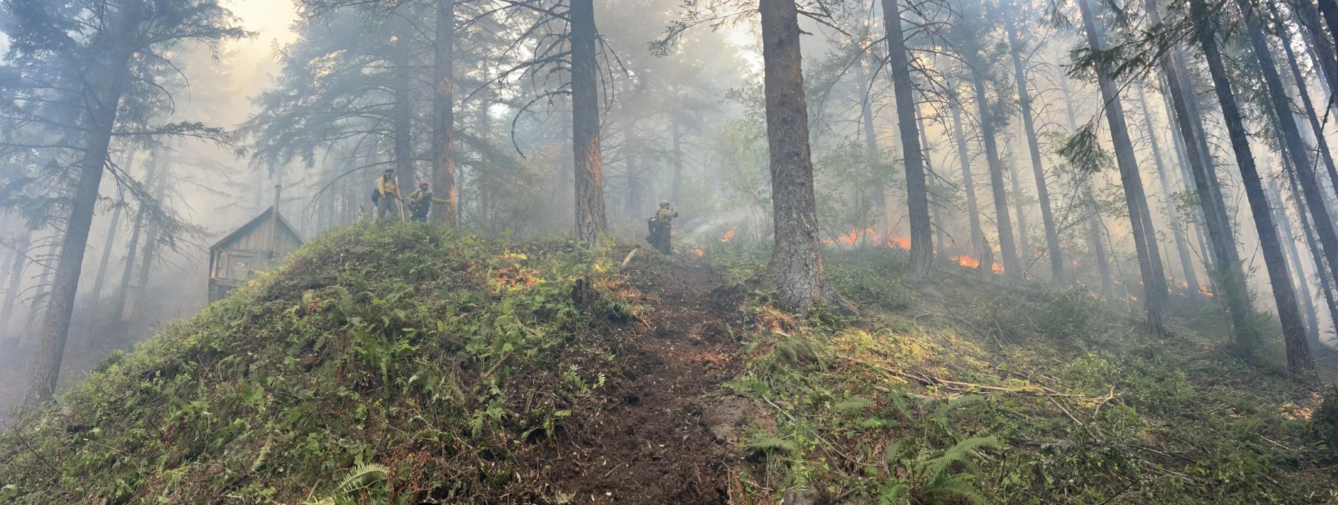 This photo shows wildland firefighters conducting a firing operation around a cabin in a wooded area.