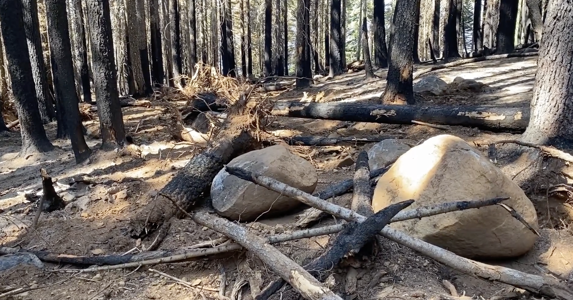 Photo showing rocks and vegetative debris obliterating a bulldozer line. 