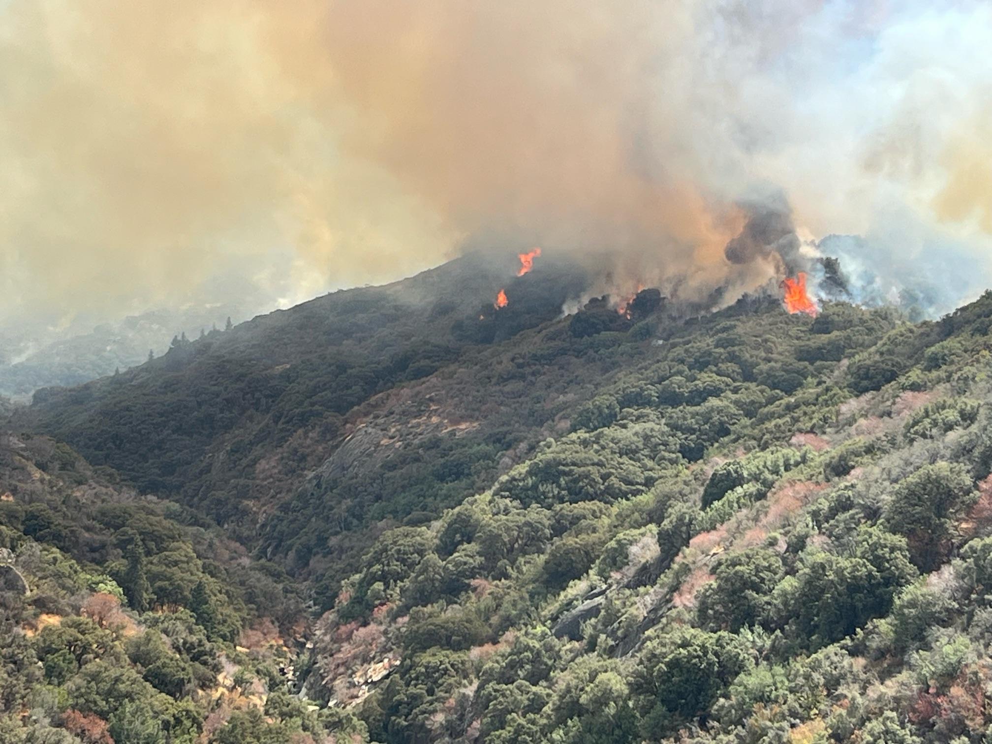 Fire burning along a shrubby ridgeline