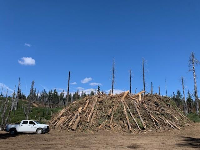 A huge pile of slash and logs sits in an opening, with a pickup truck next to it for scale