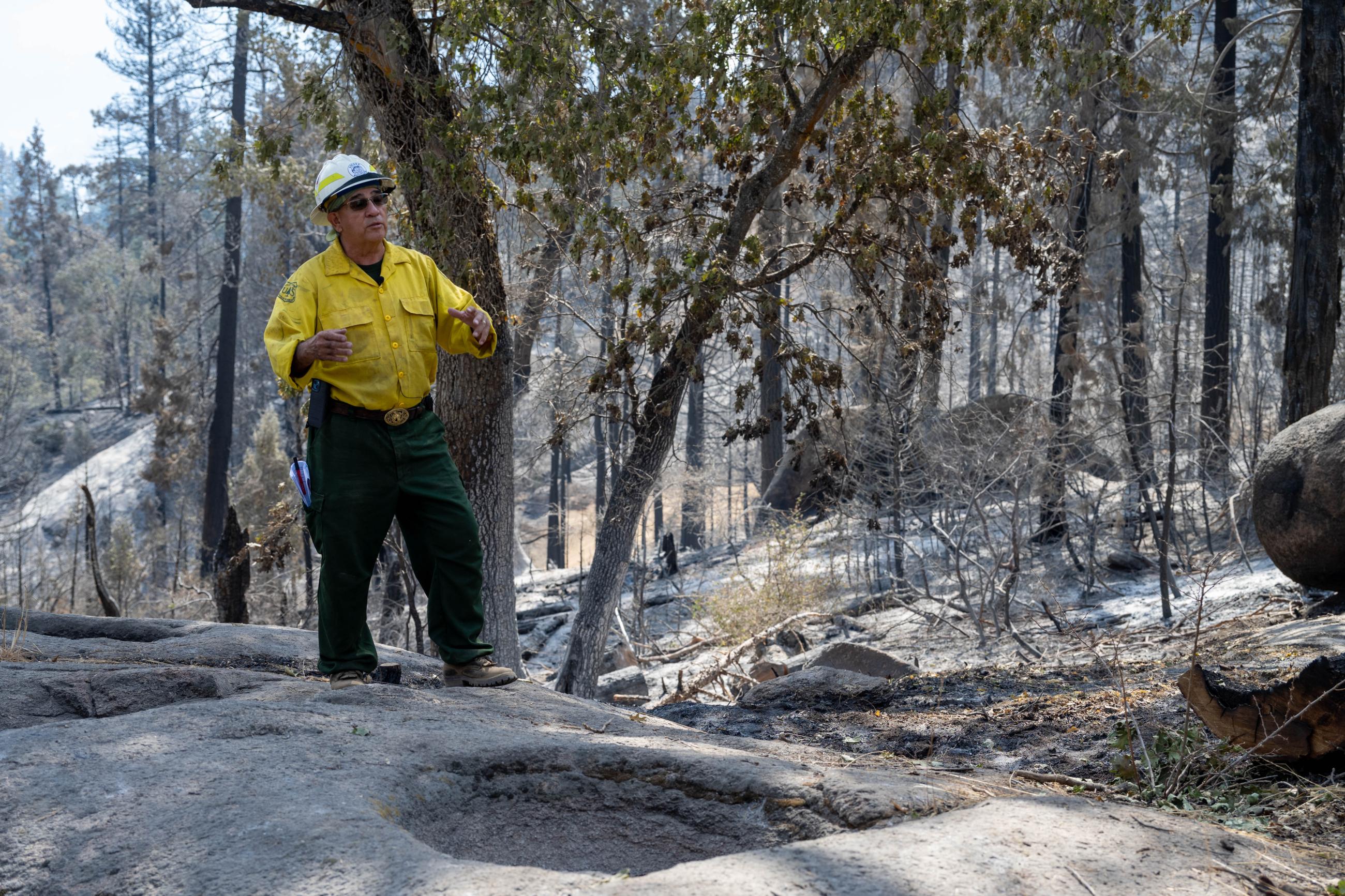 A man standing in a burned forest talking and gesturing with his hands.
