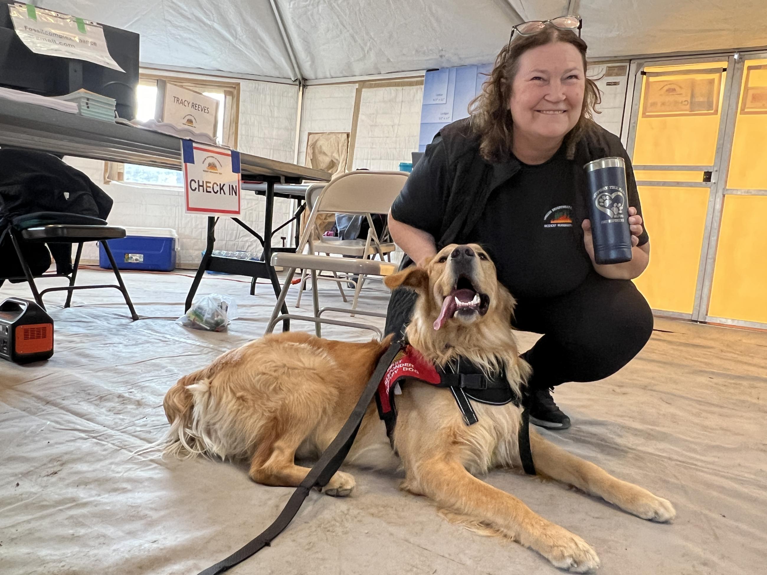 Therapy dog Barney offering support to staff