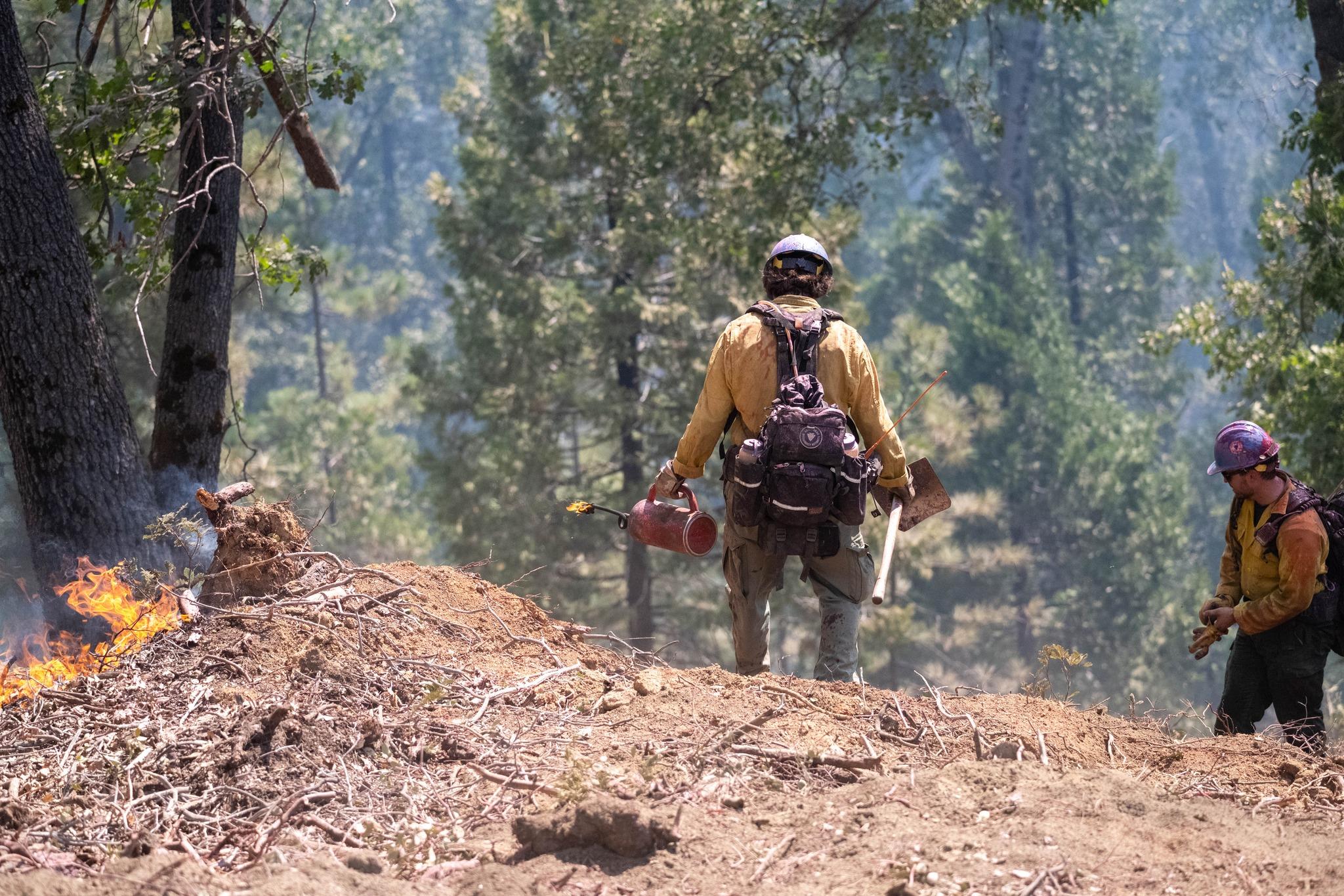 Two firefighters in a forest. One is holding a drip torch. Small flames are on the ground. 