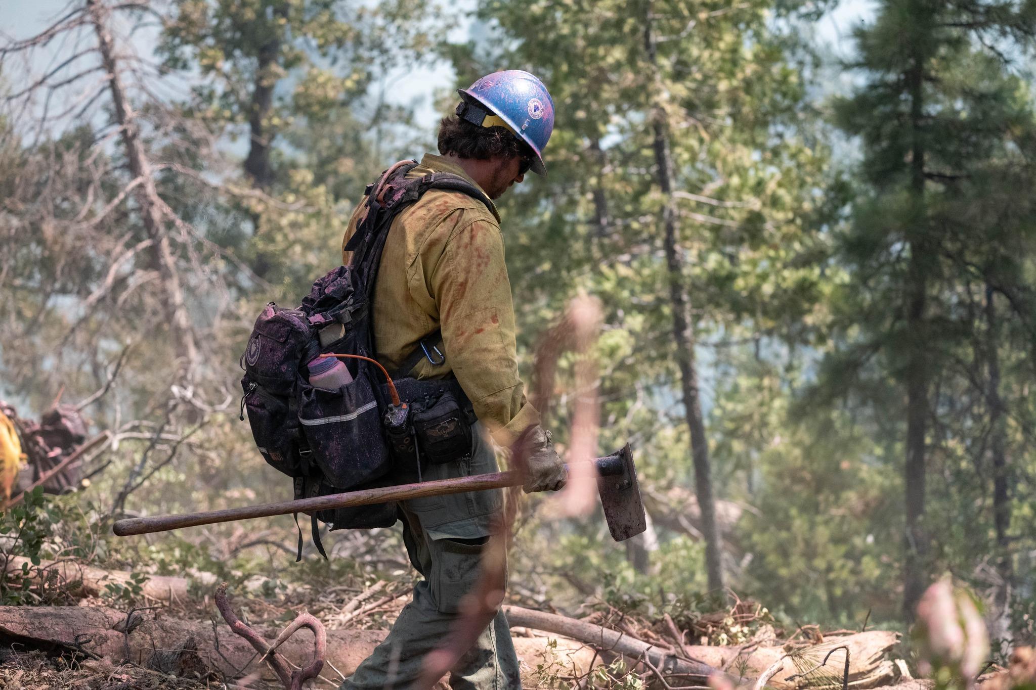 A firefighter walks through the forest holding a tool. 