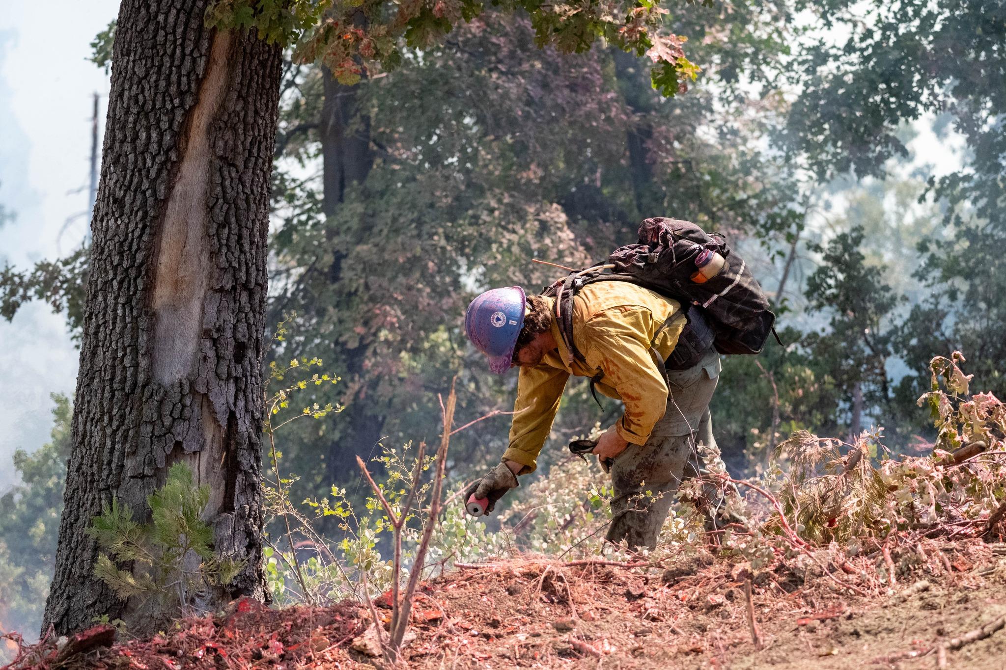 A firefighter in a forest