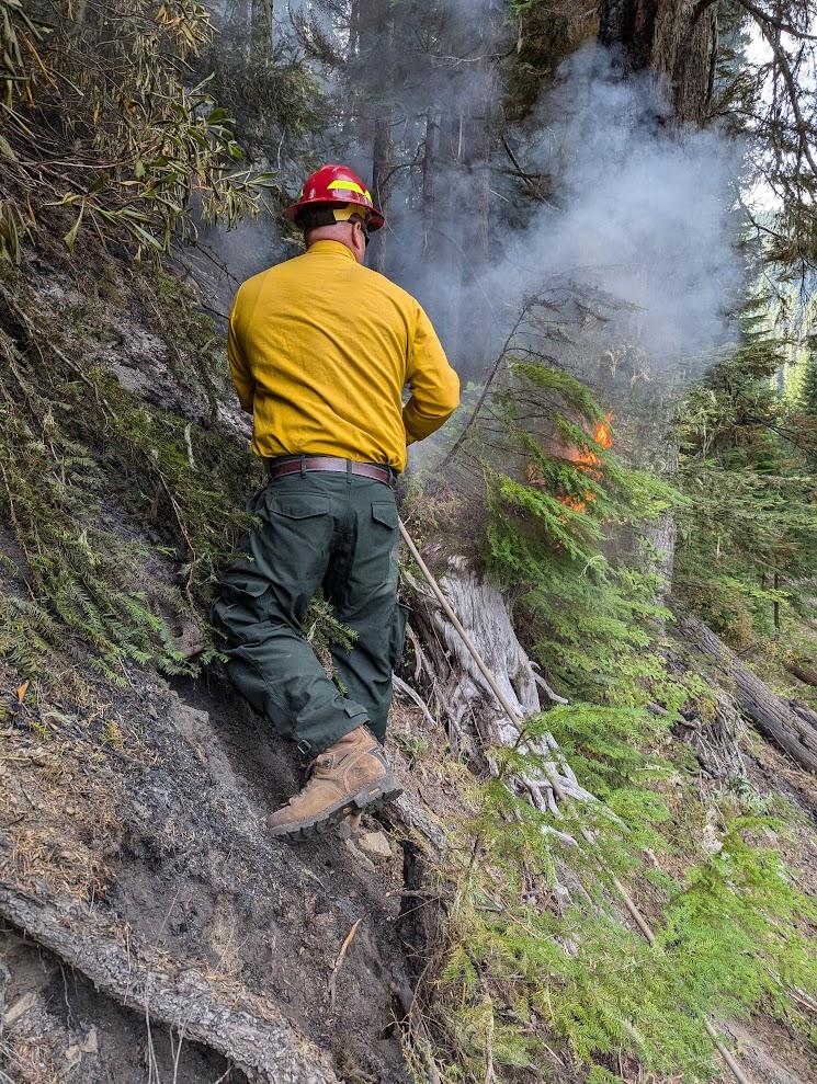 Firefighter is standing on the side of the mountain extinguishing a spot fire with hose line.