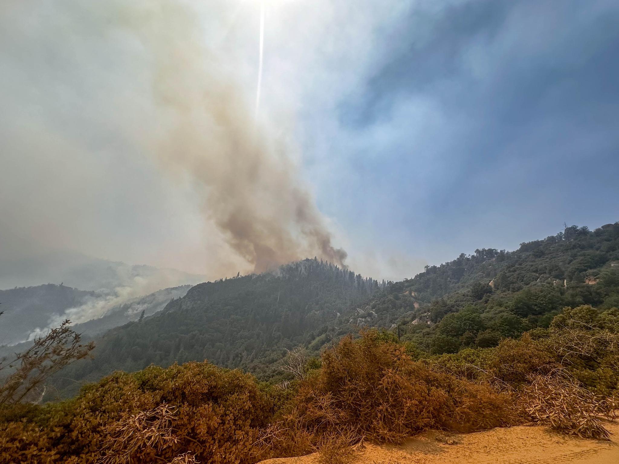 A smoke column rising above a forest
