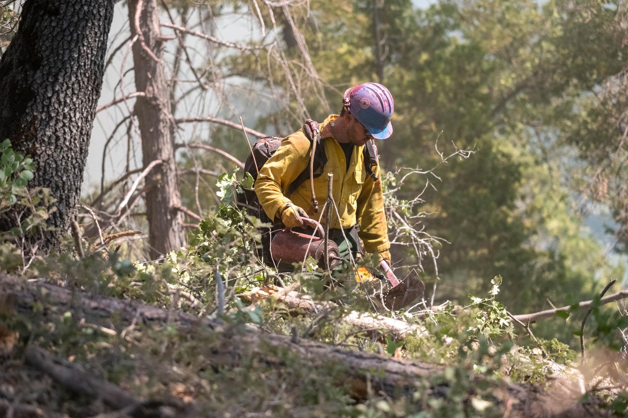 Firefighter in the forest