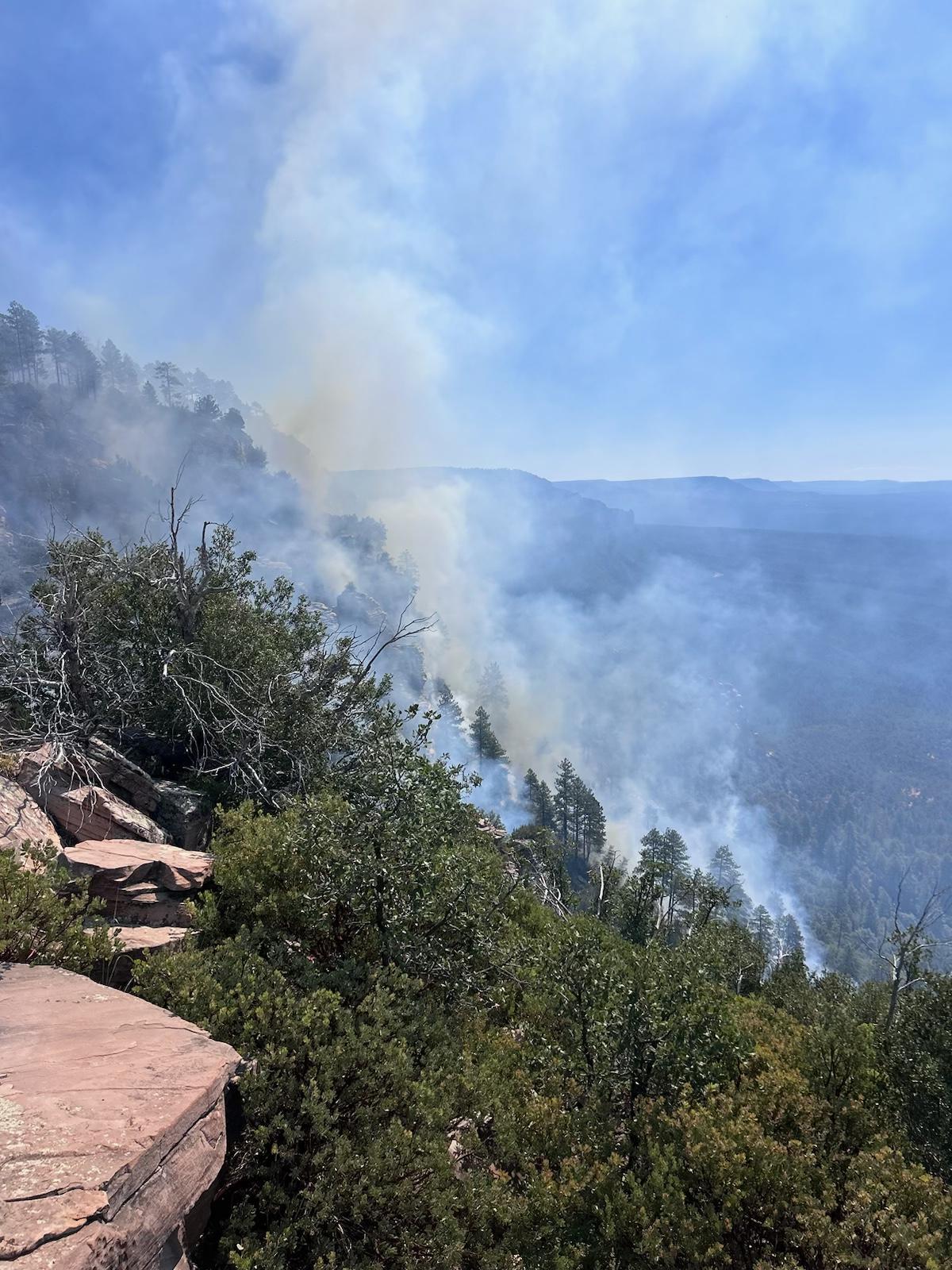 landscape image of trees and smoke