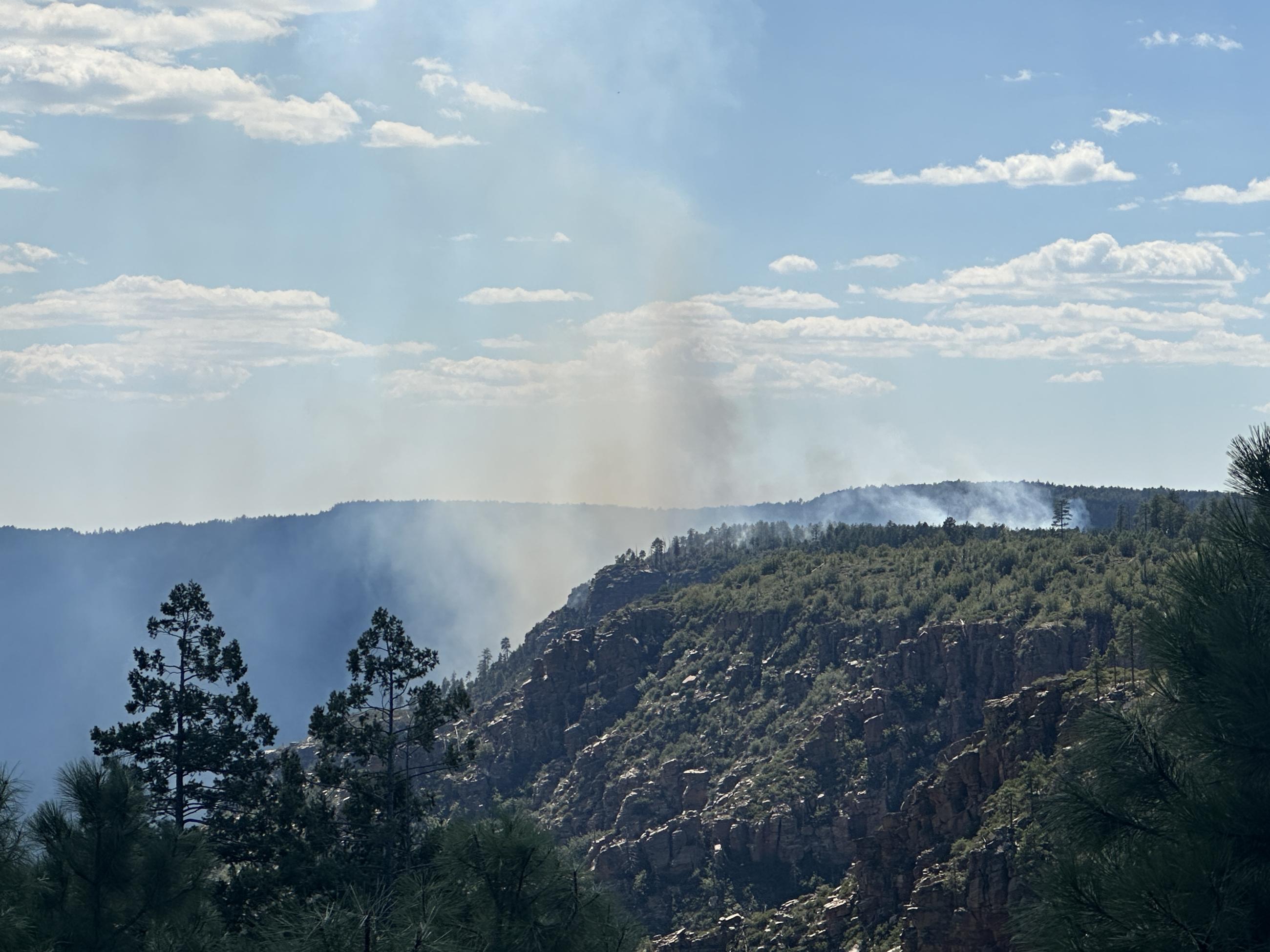 Smoke risking over rugged mountain terrain with trees