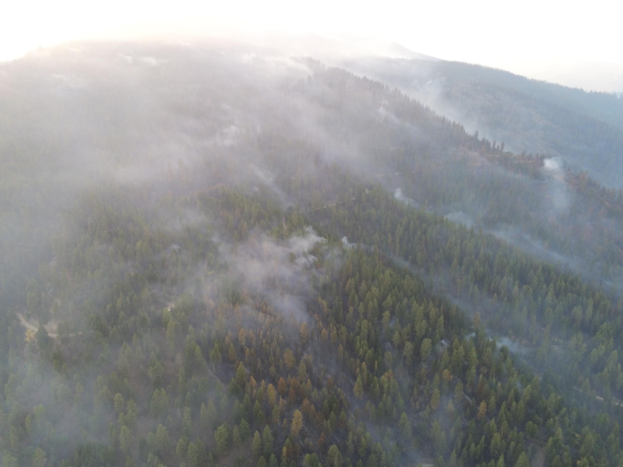 Aerial view of Sharrott Creek southern edge on 05 September 2024