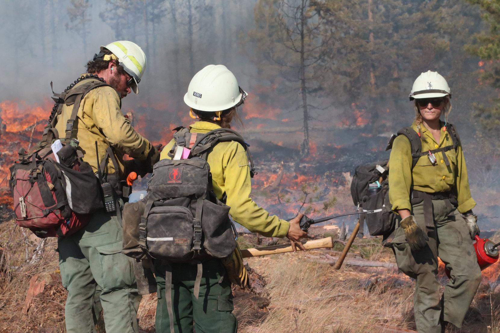 Firefighters on Fireline 1