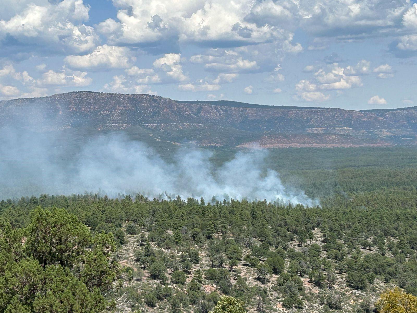 small column of smoke rising from shrub lands with mountain in background