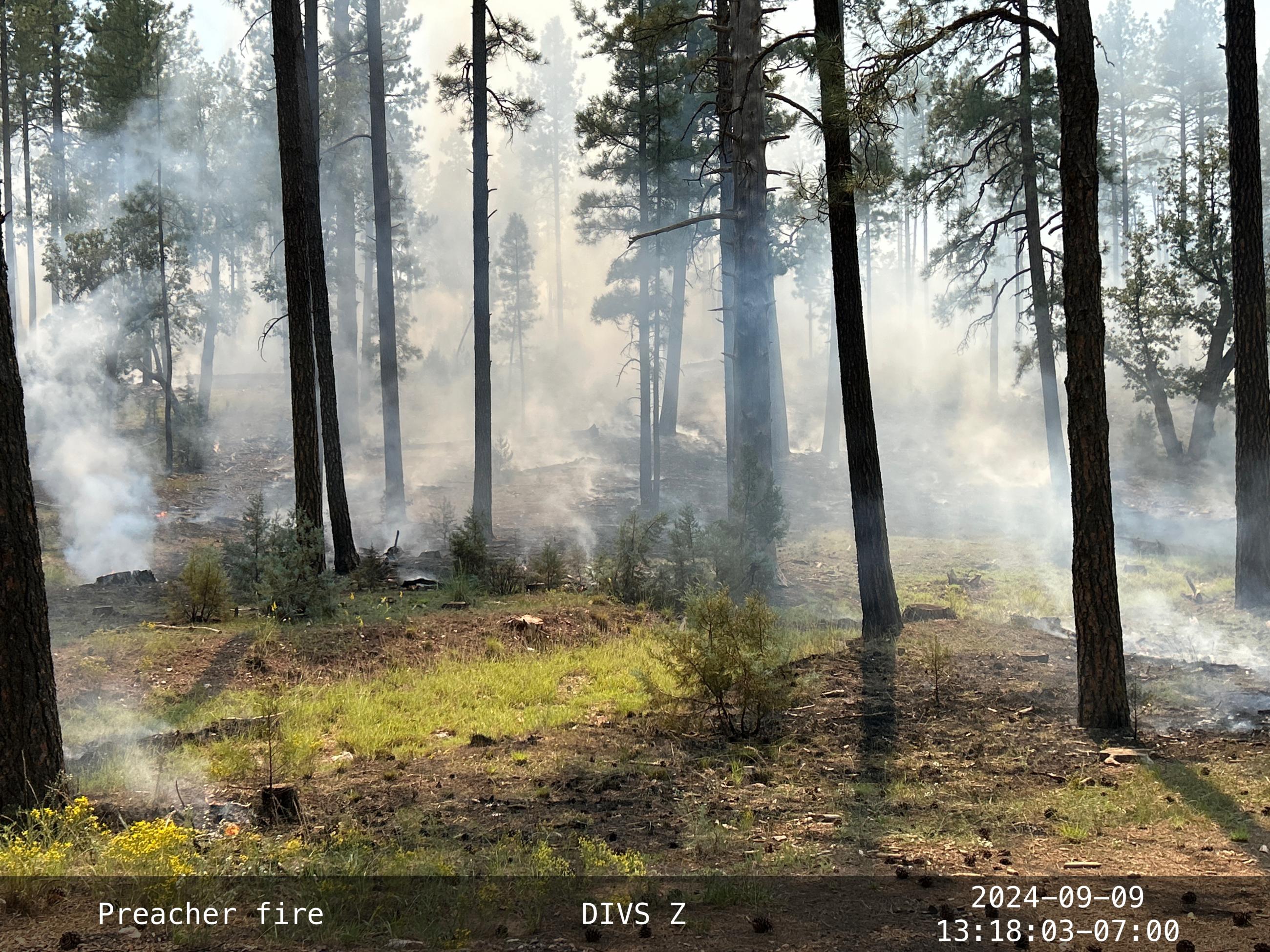 Image of fire smoldering on a forest floor making smoke.