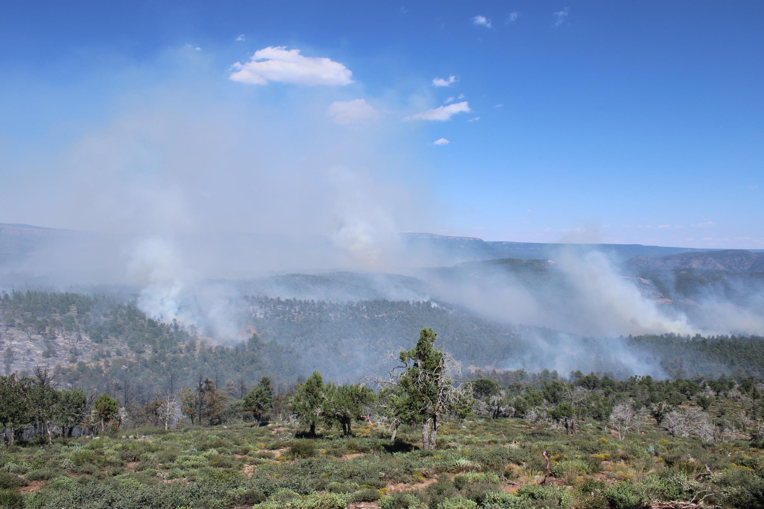 landscape photo showing smoke rising from a wooded area on a sunny day