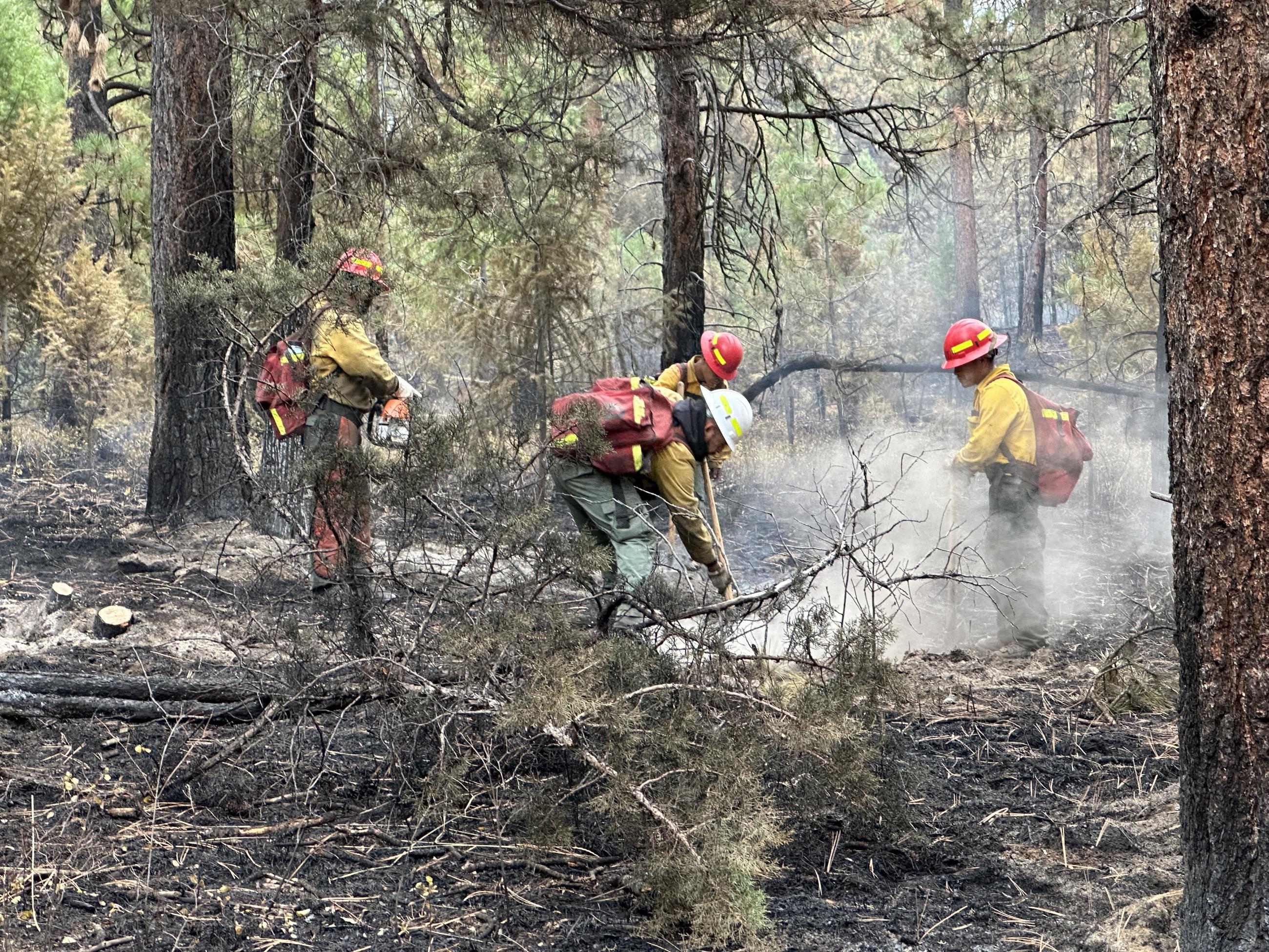 Firefighters at work