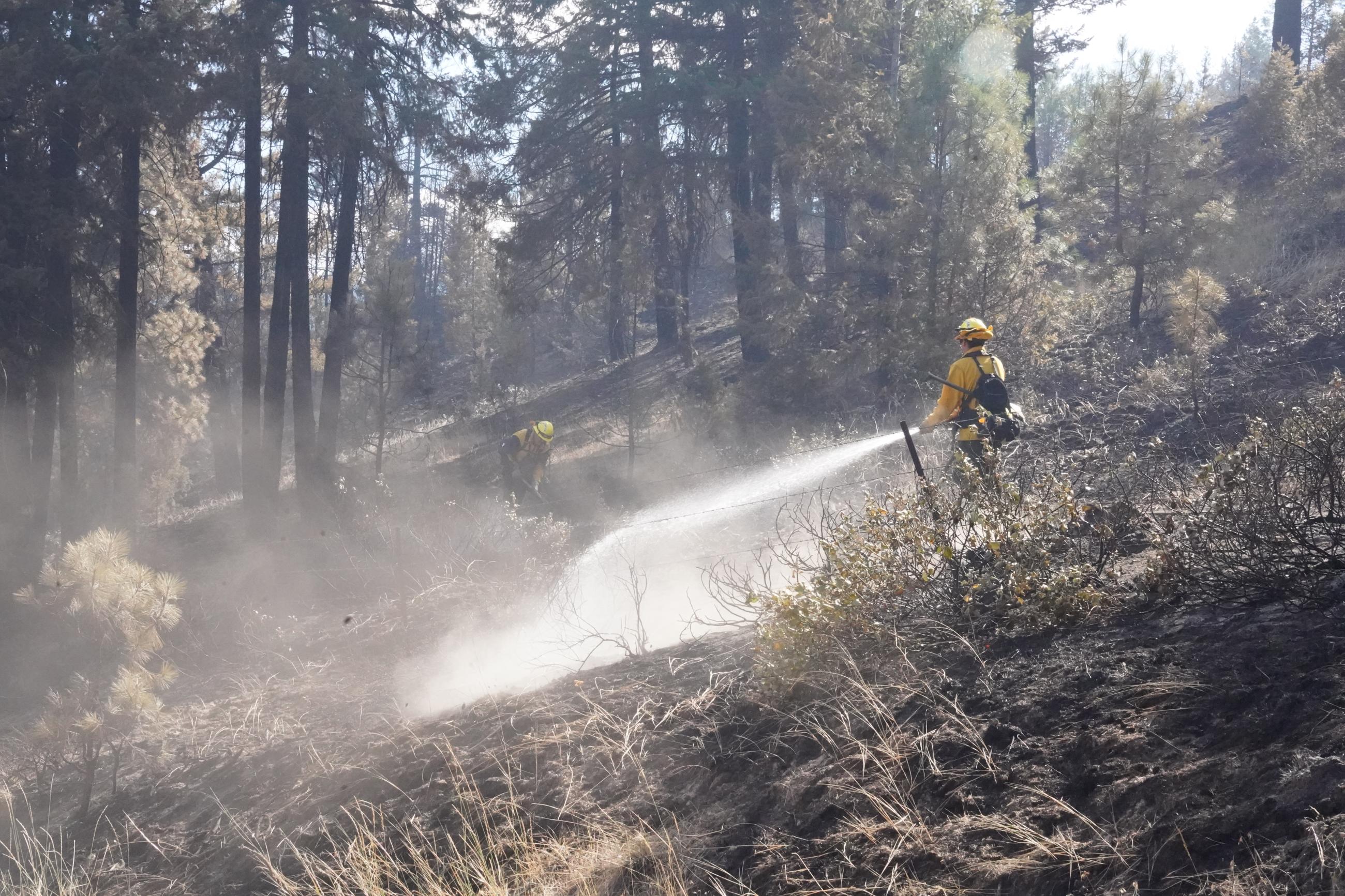 Service Fire mop-up work along Winlock Lane