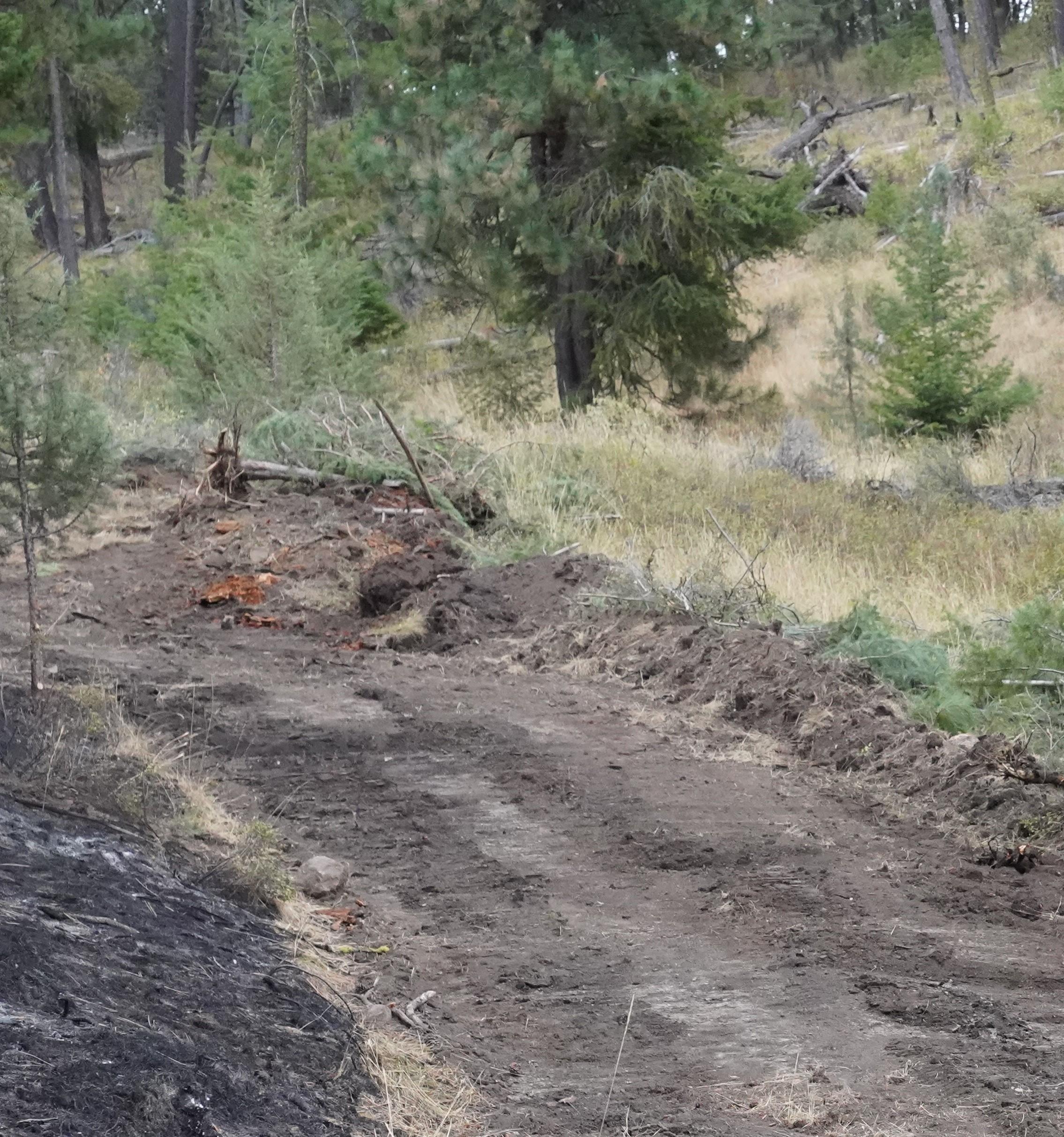 Dozer line with berms