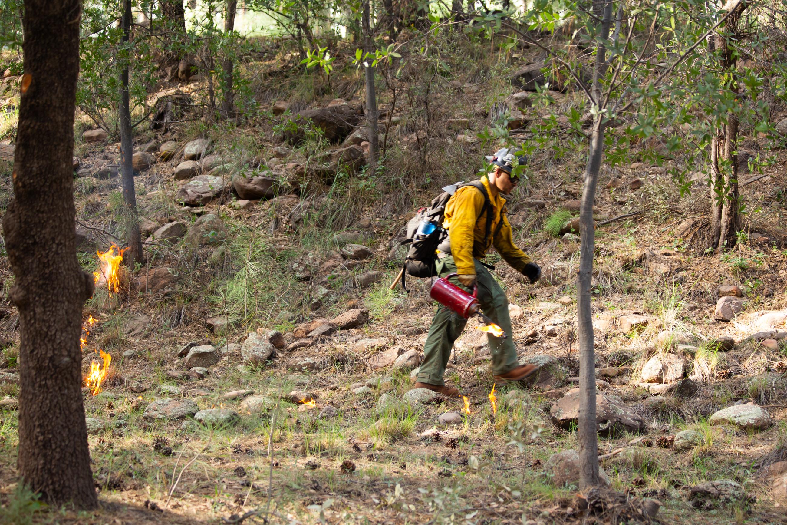 Man in yellow shirt with backpack walks through the woods with a torch.