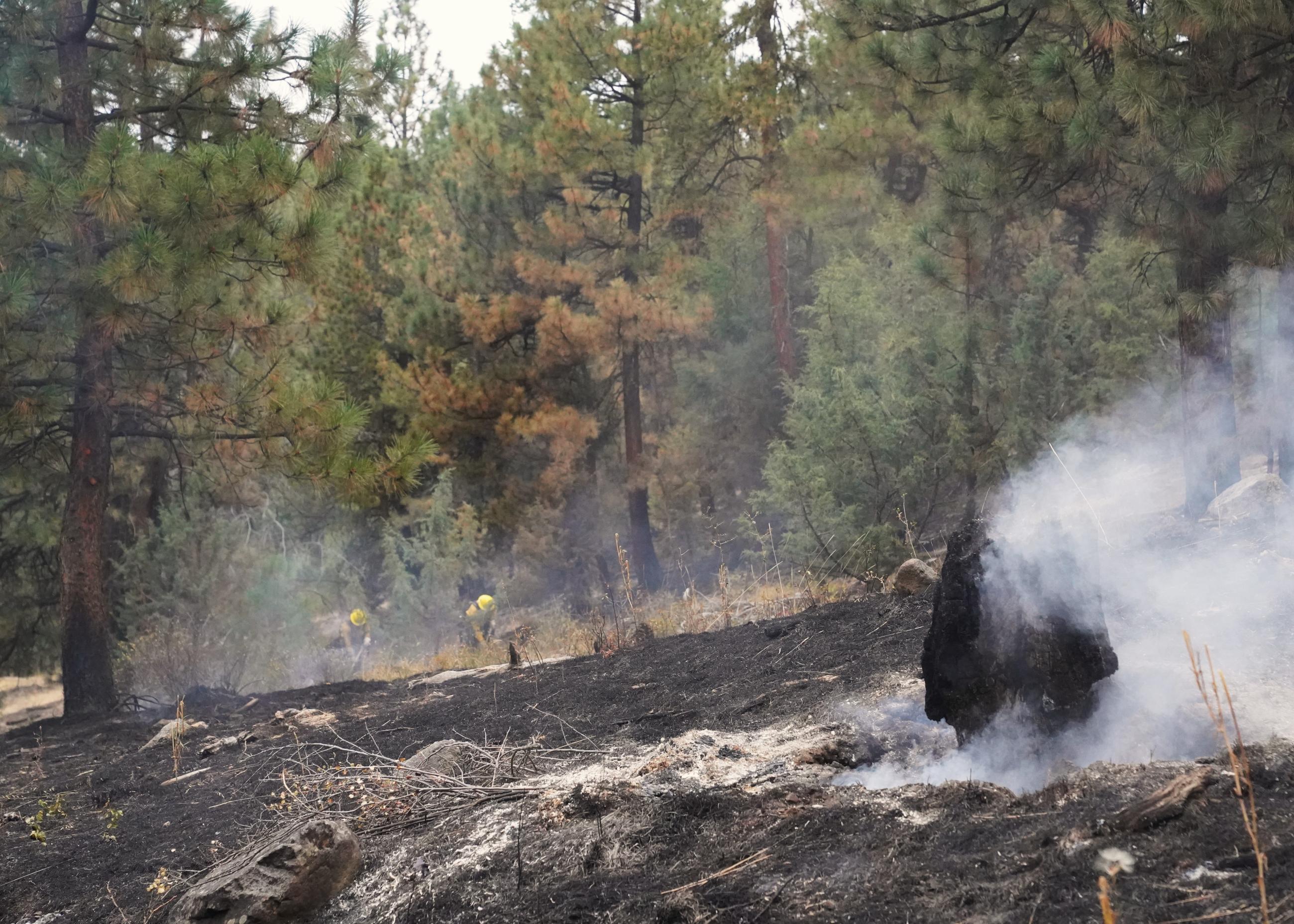 Mop up with burned stump