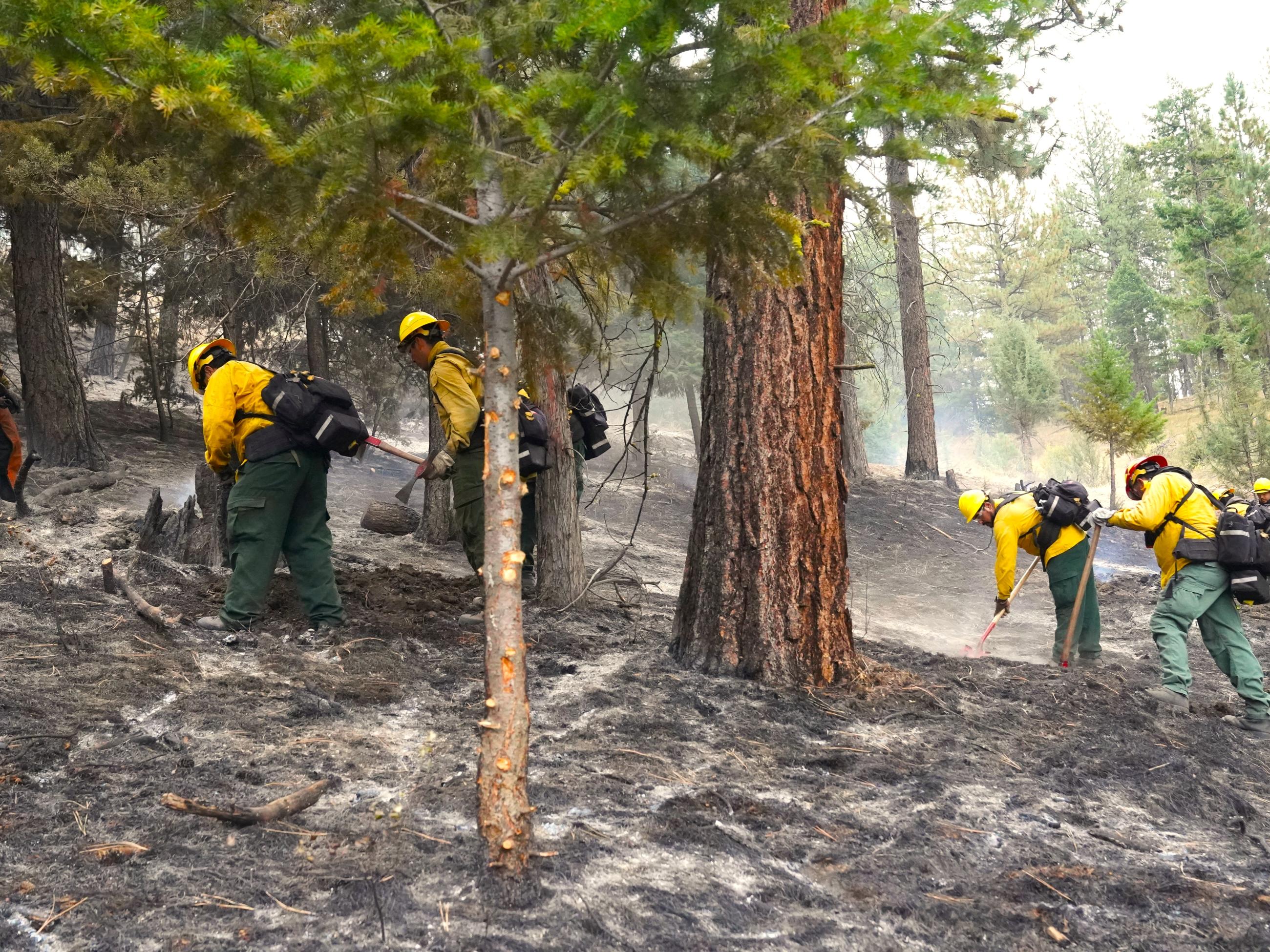 Mop up on the Service Fire