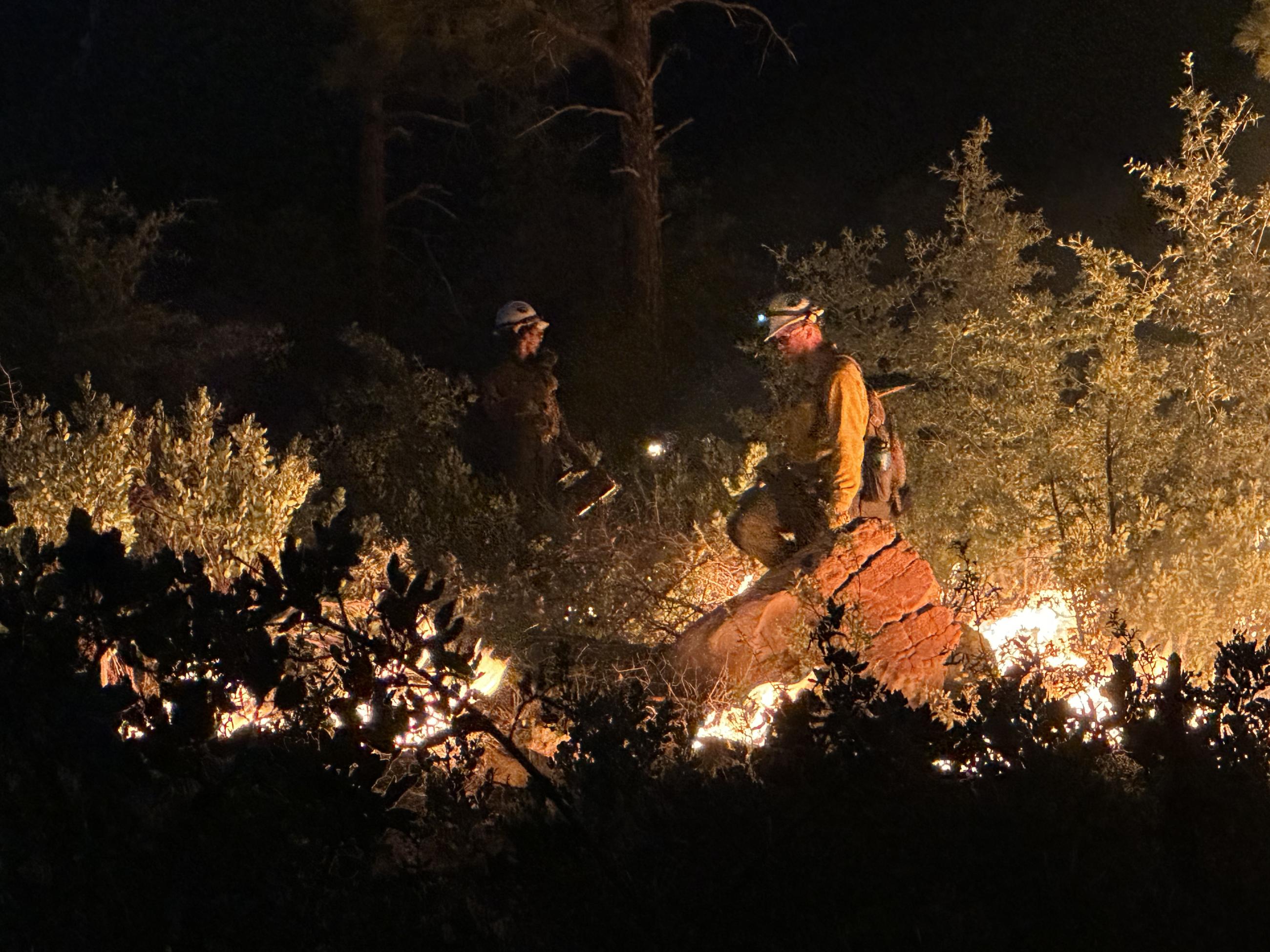 Night time image of two firefighters walking in the woods around fire.