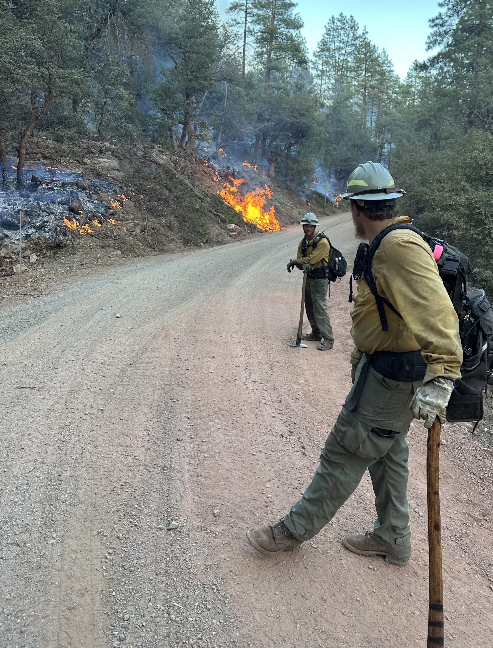 Two people in yellow shirts and hard hats stand on a wooded road watching fire.