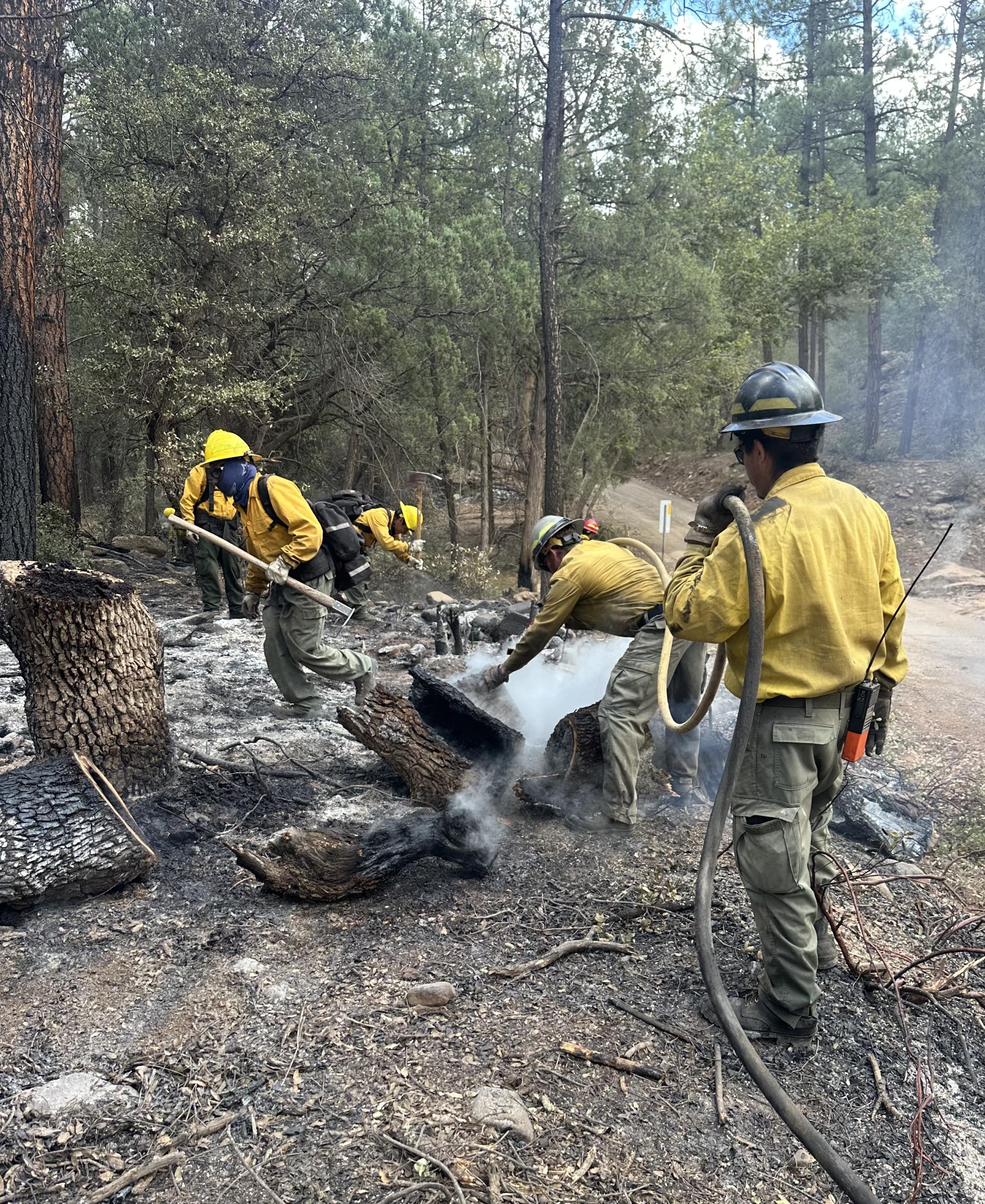 Multiple people in yellow shirts spray water on a burnt log in the woods