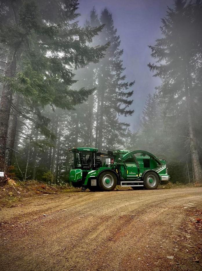 A large green vehicle sits in front on a dirt road. Behind it, sunlight penetrates a forest against a dark sky.