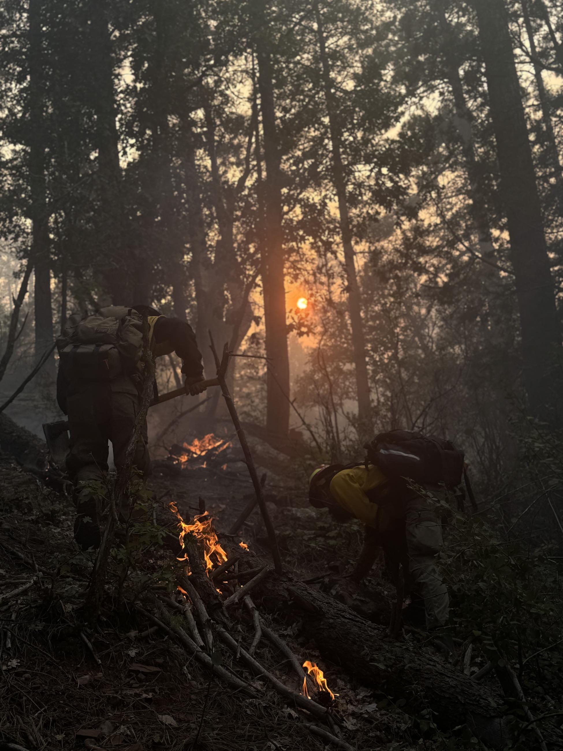 Wildland firefighters with tools climb a sleep slope in the woods with several small fires burning sticks.
