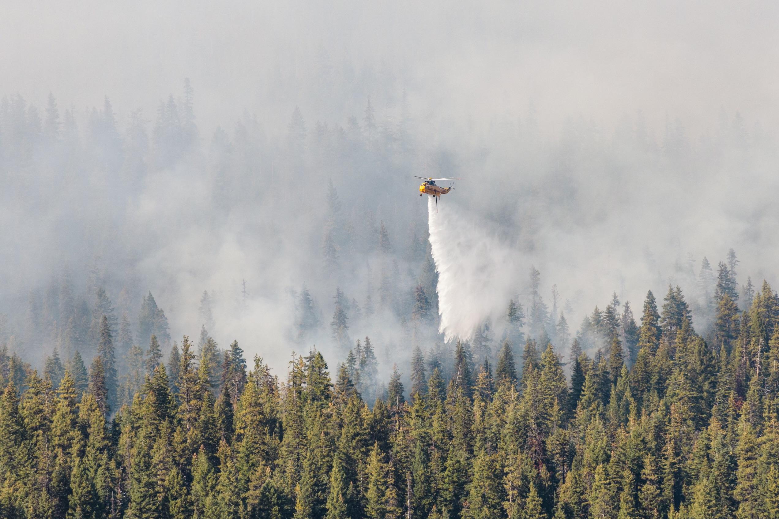 Yellow Helicopter flying over a smokey wildfire and dropping water on the fire